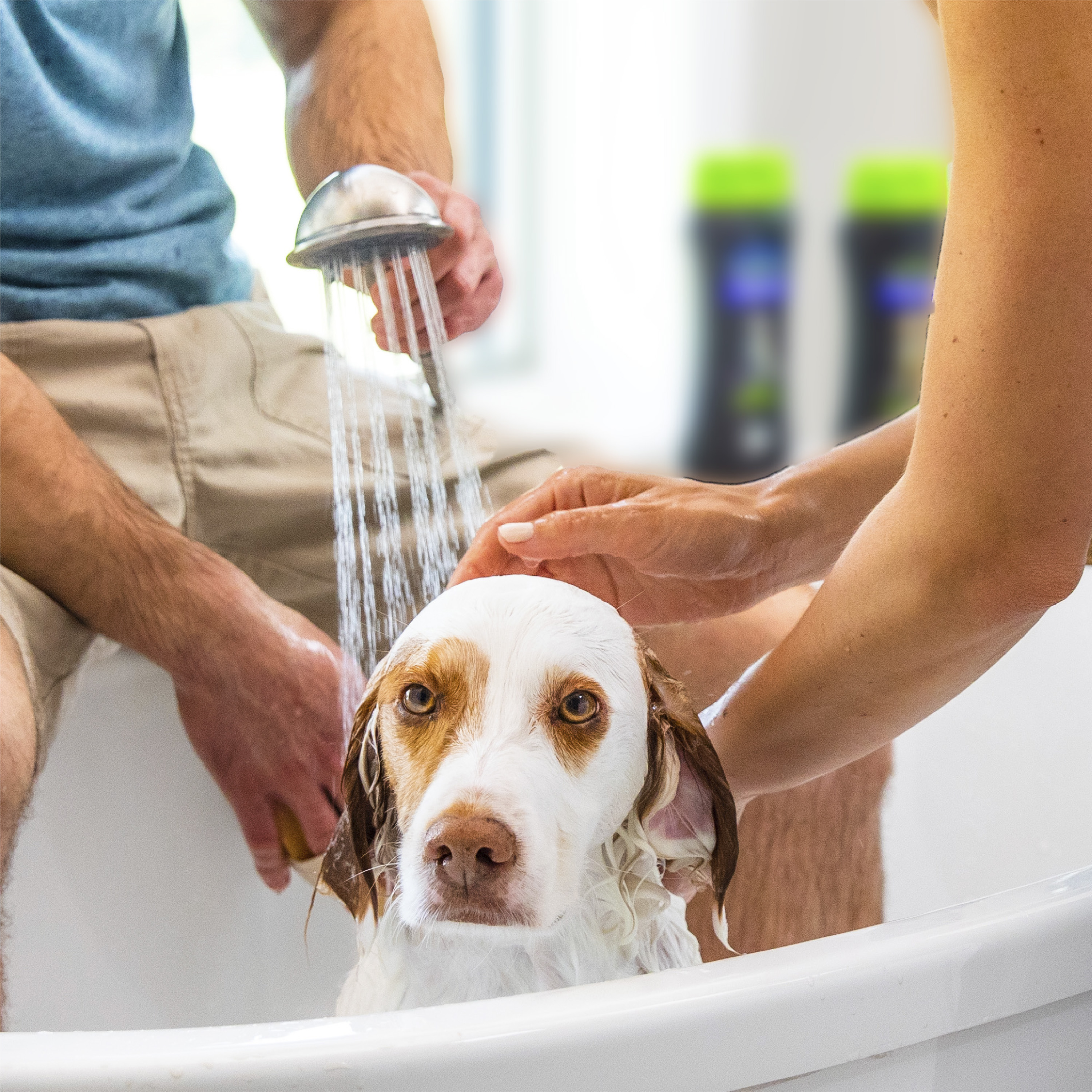 933161 Lifestyle In Use