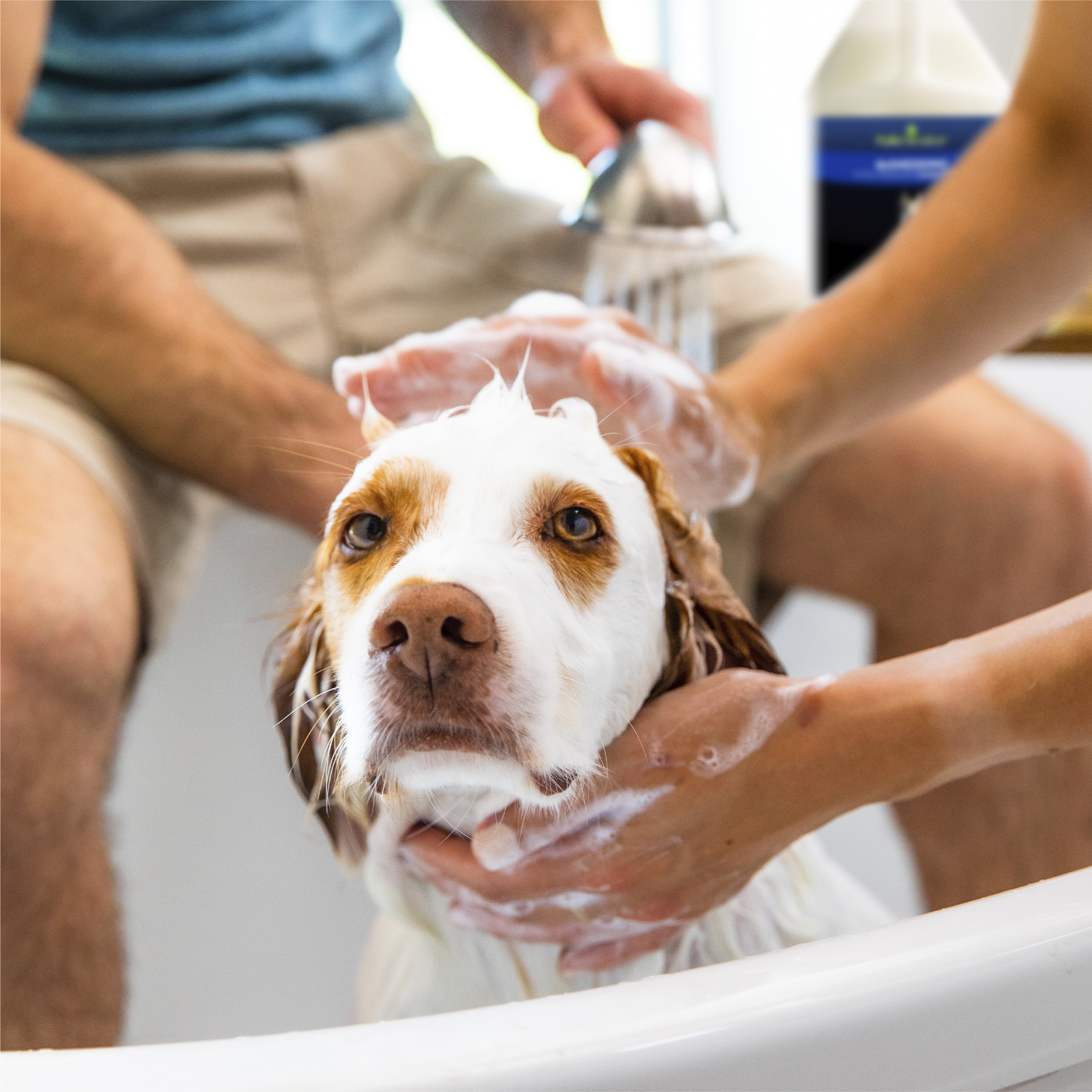 93322 Lifestyle In Use