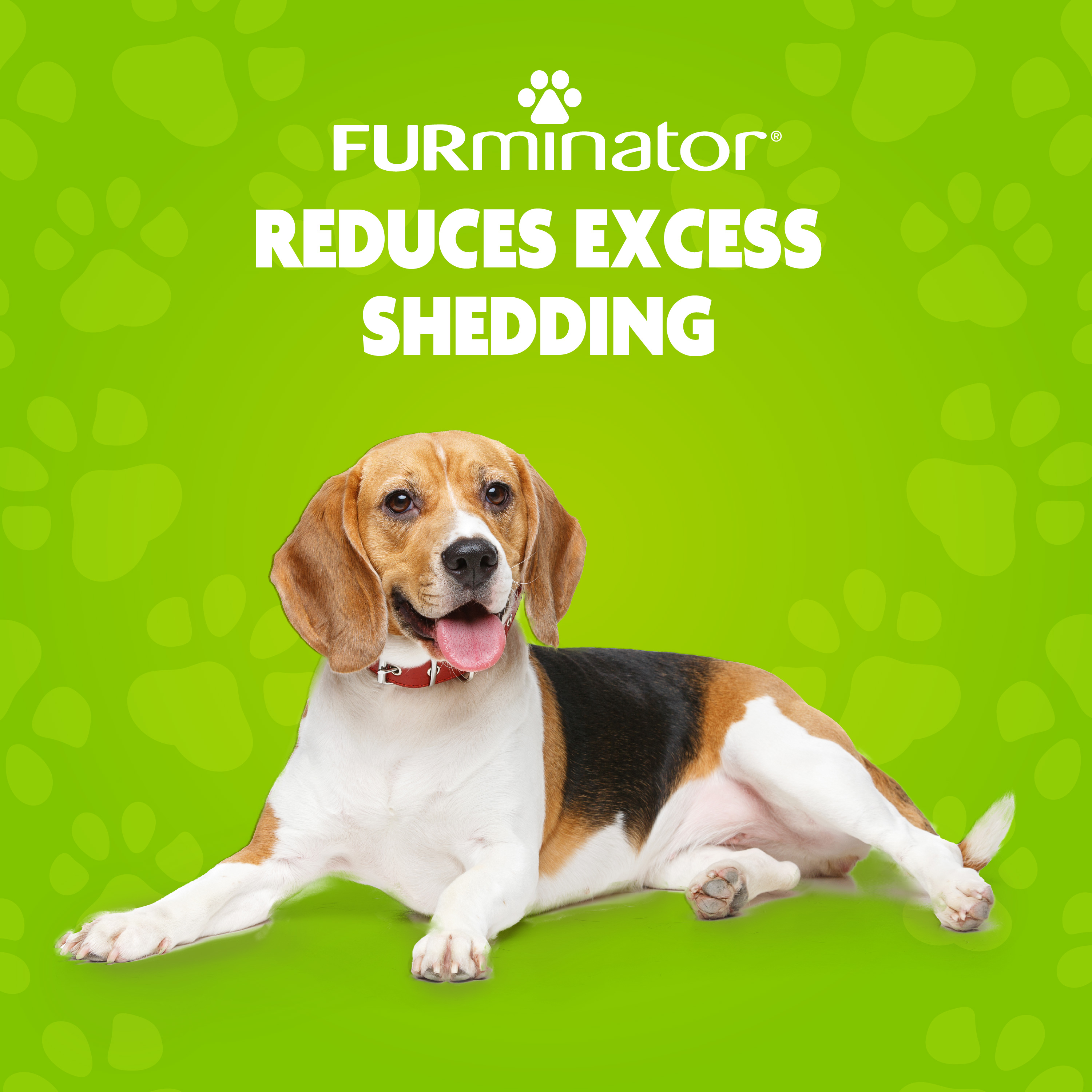 93322 Brand Statement