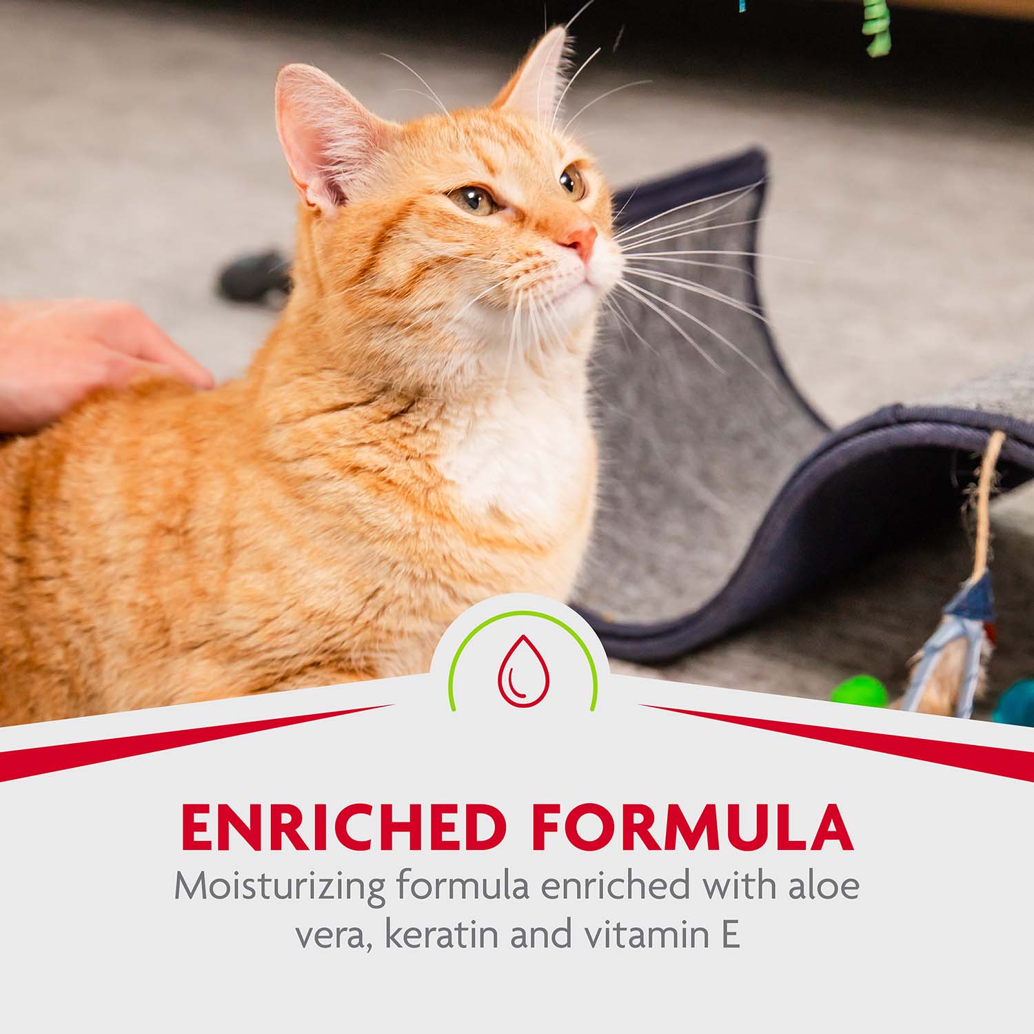 P-93359 Rinse-Free deShedding Foaming Shampoo for Cats, 8.5 oz Enriched Formula