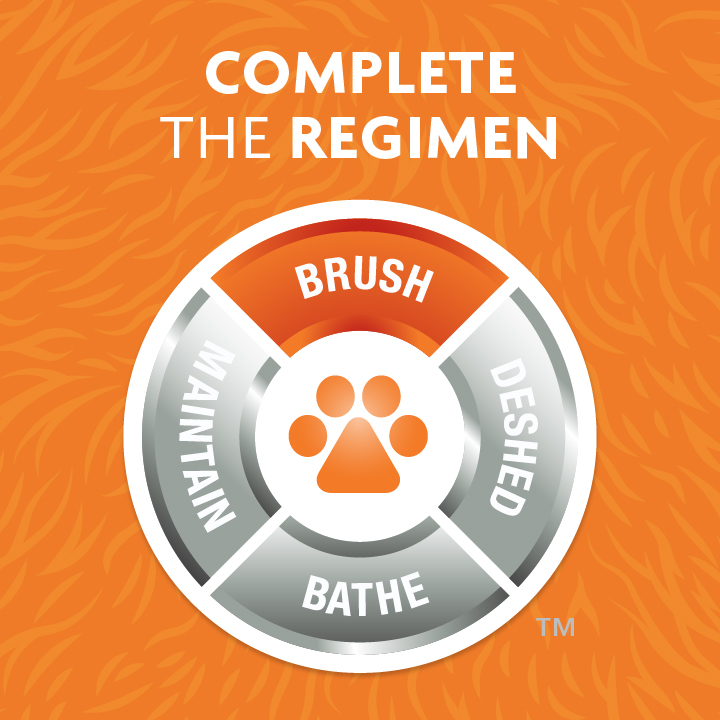 P-92929 Dual Grooming Brush - Complete teh Regimen