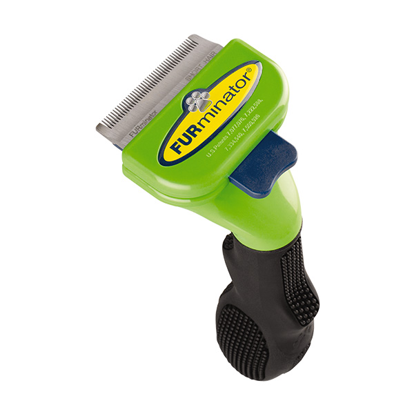 Small dog short hair furminator