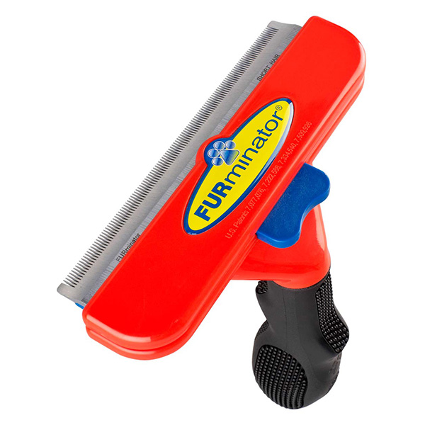 giant dog short hair