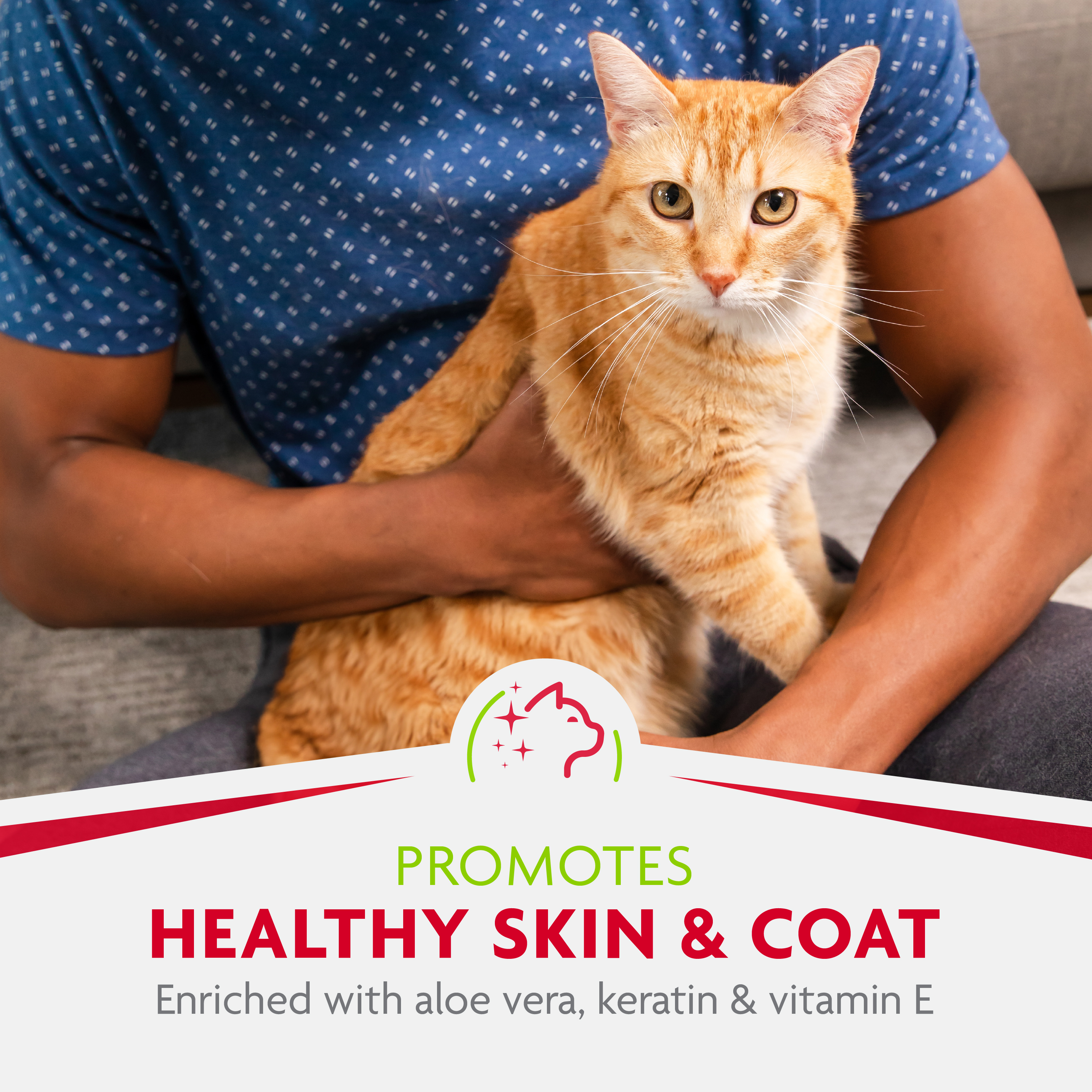 P-93363 FURminator® deShedding Grooming Wipes for Cats 12/50 ct Promotes Healthy Skin & Coat