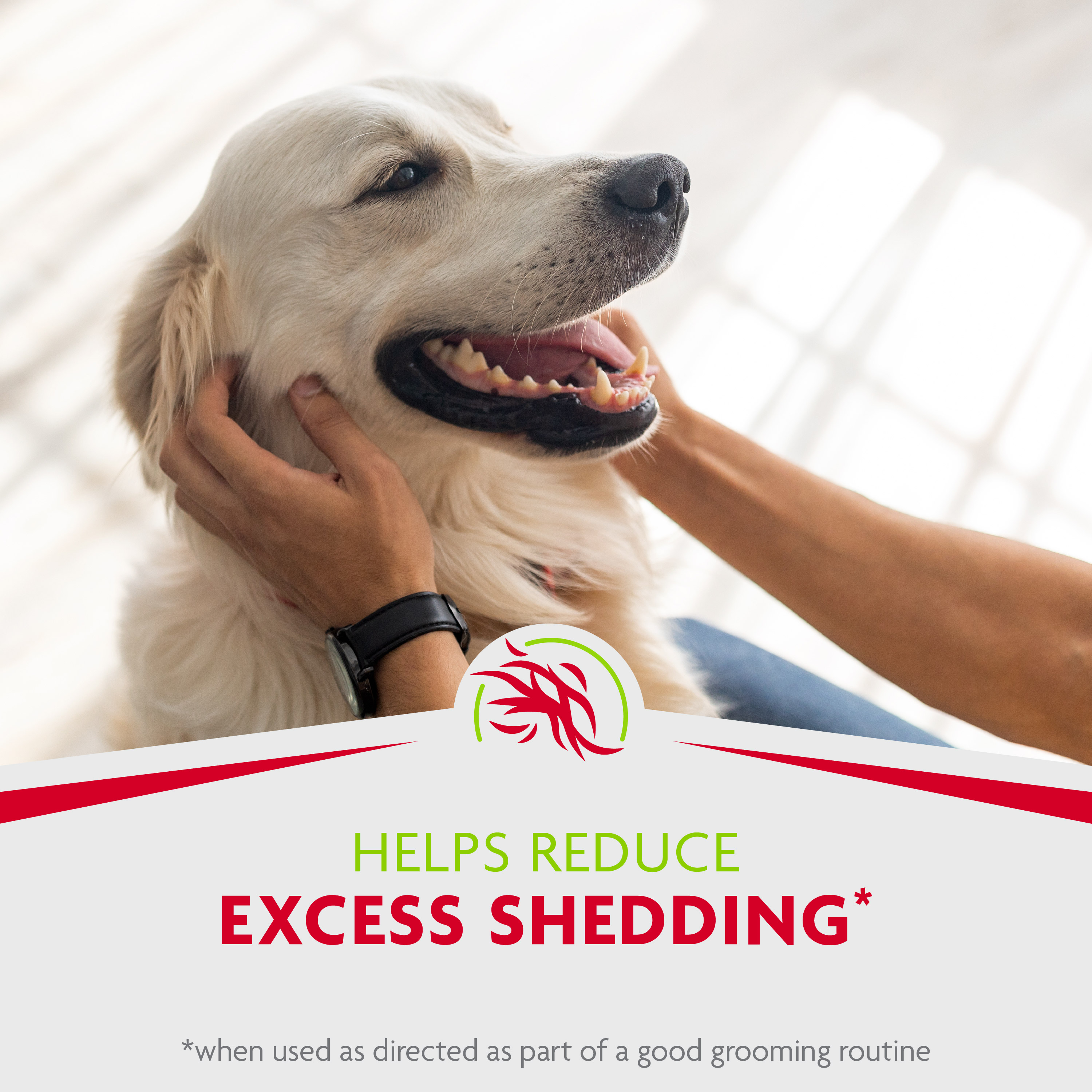 P-93391 FUR Tub-Free deShedding Foam Comb for Dogs - Helps Reduce Excess Shedding