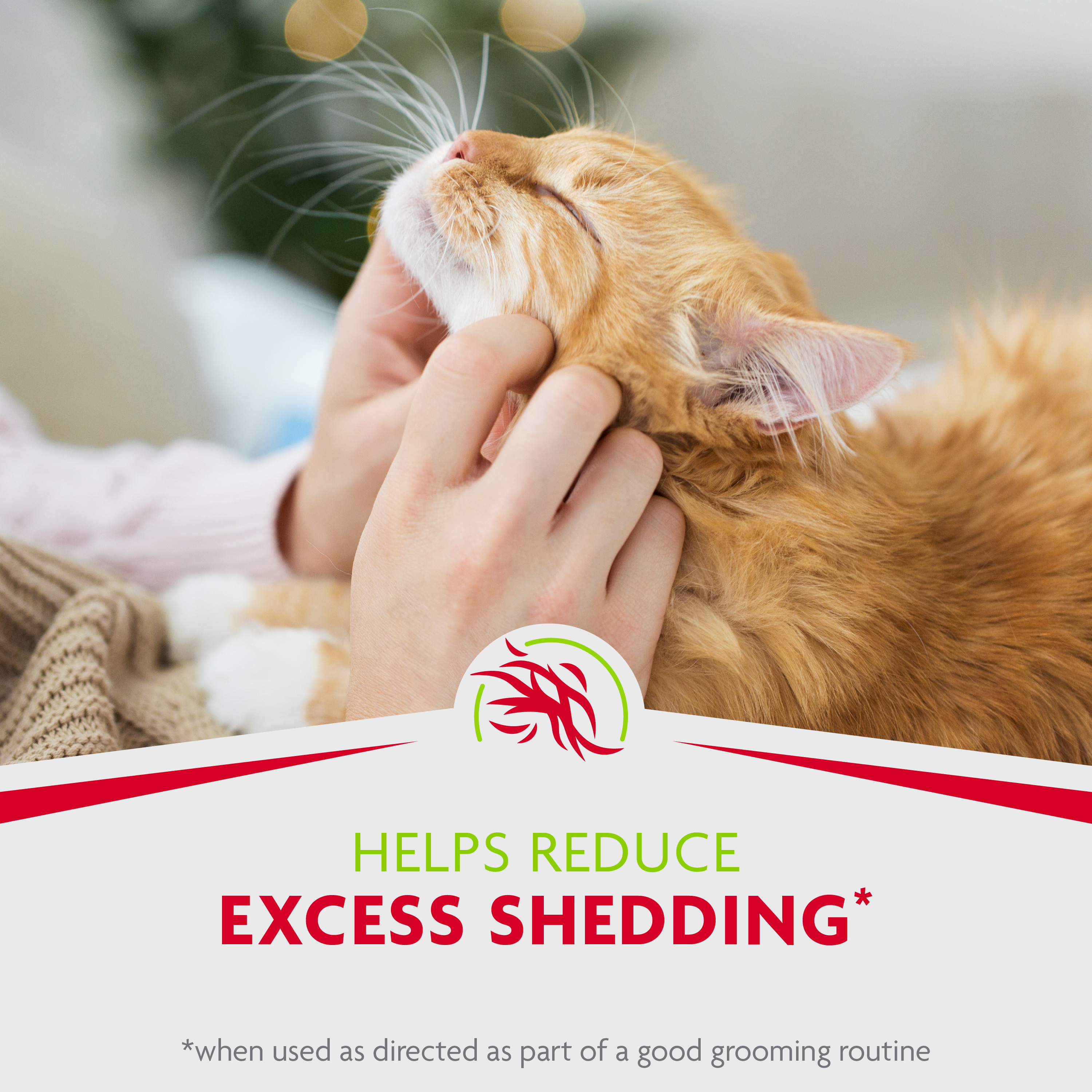 P-93392 FUR Tub-Free deShedding Foam Comb for Cats - Helps Reduce Excess Shedding