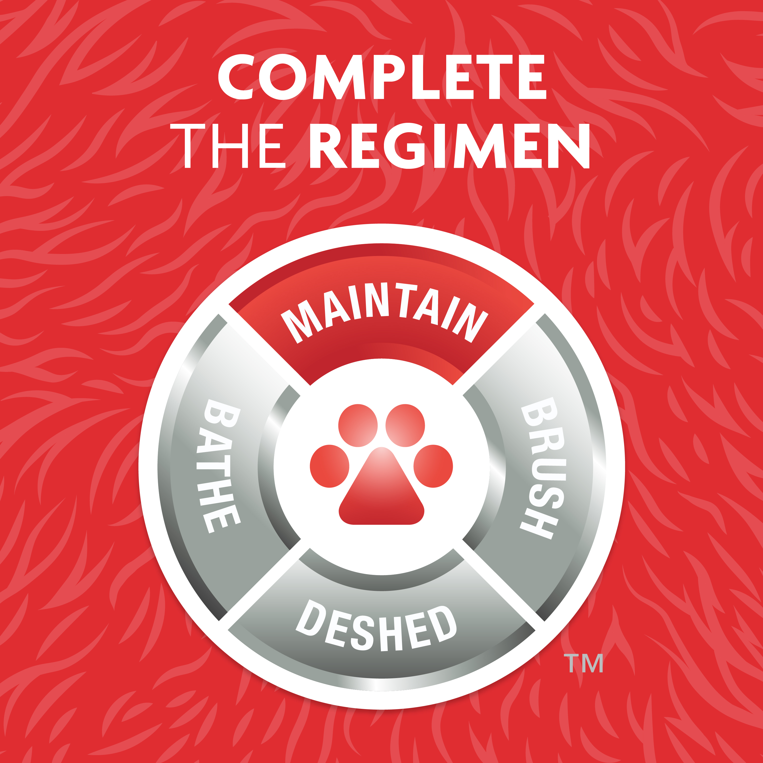 P104005_NailGrinder_Gallery_04_CompleteRegimen