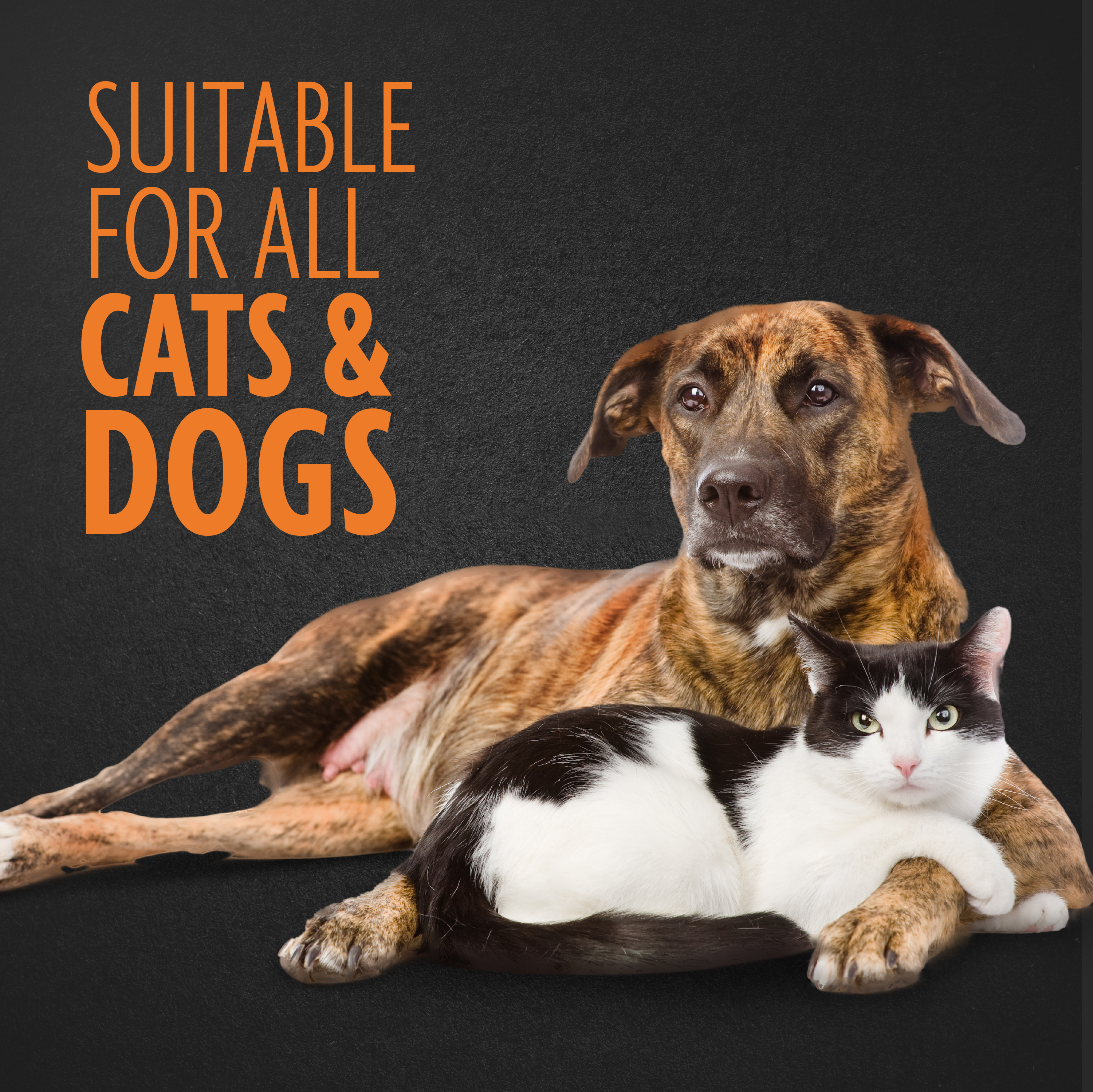 P104010_Gallery_04_SuitableForAll