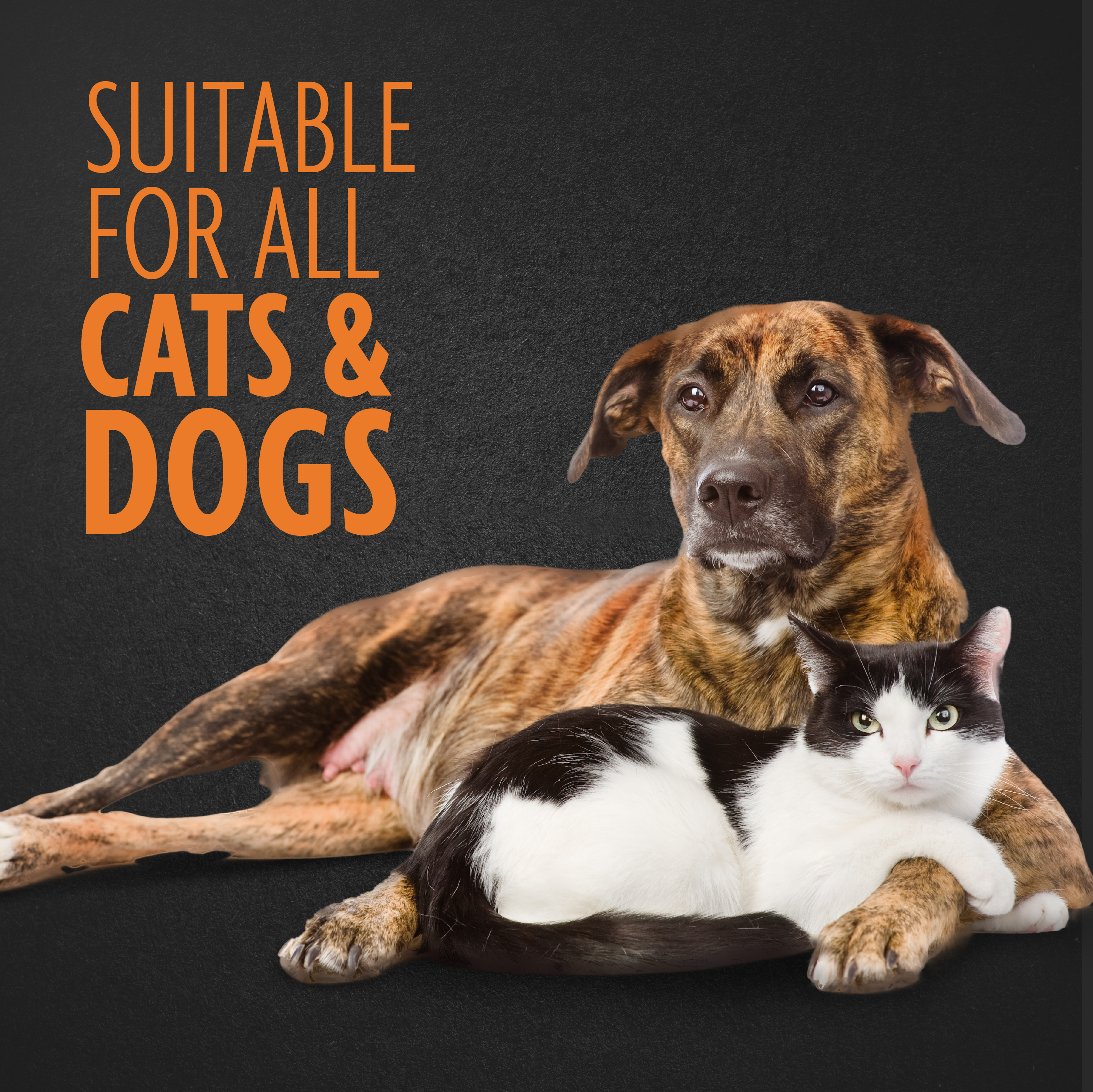 P104013_Gallery_04_SuitableForAll