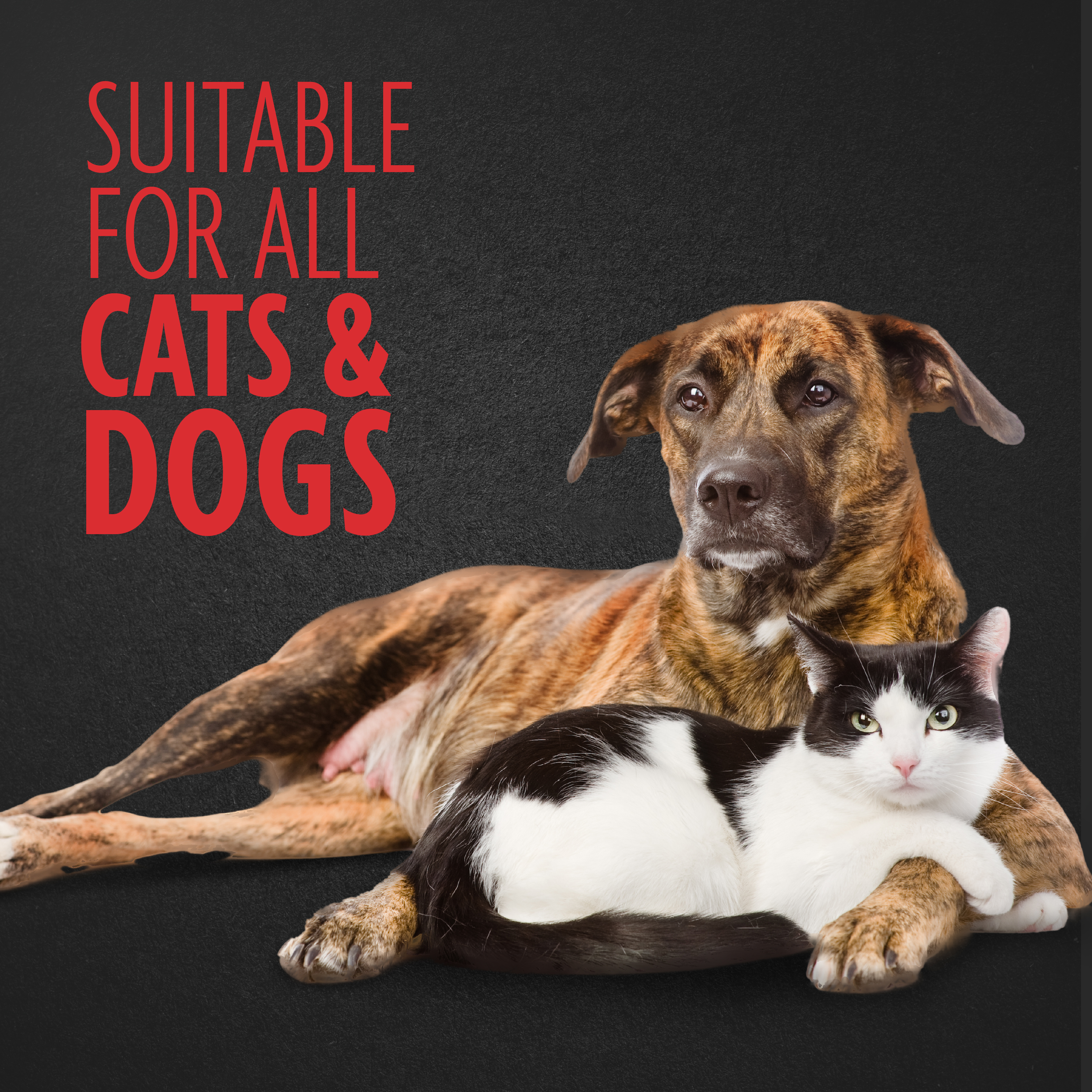 P104041_Gallery_05_SuitableForAll