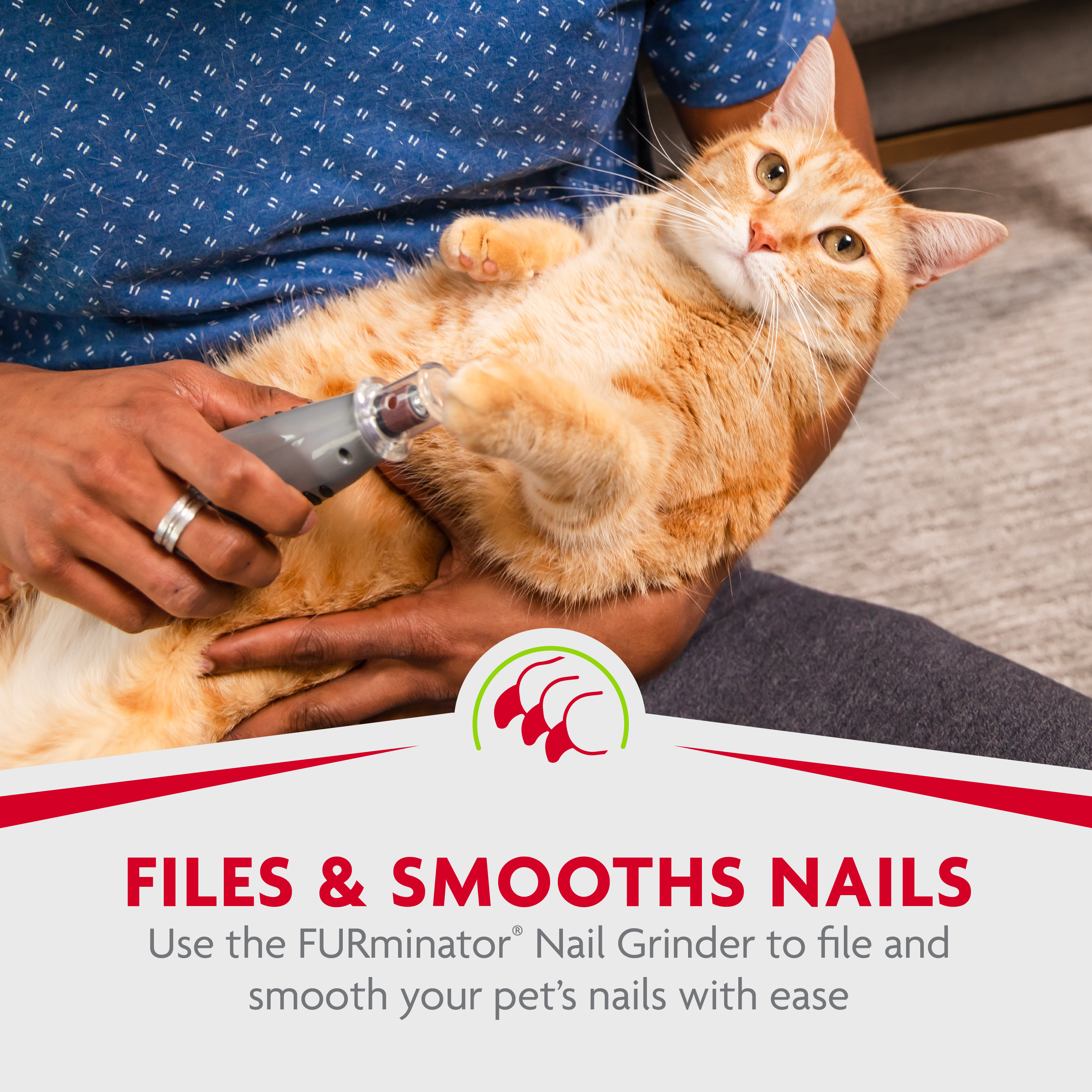 P104041_Gallery_06_FilesSmoothes