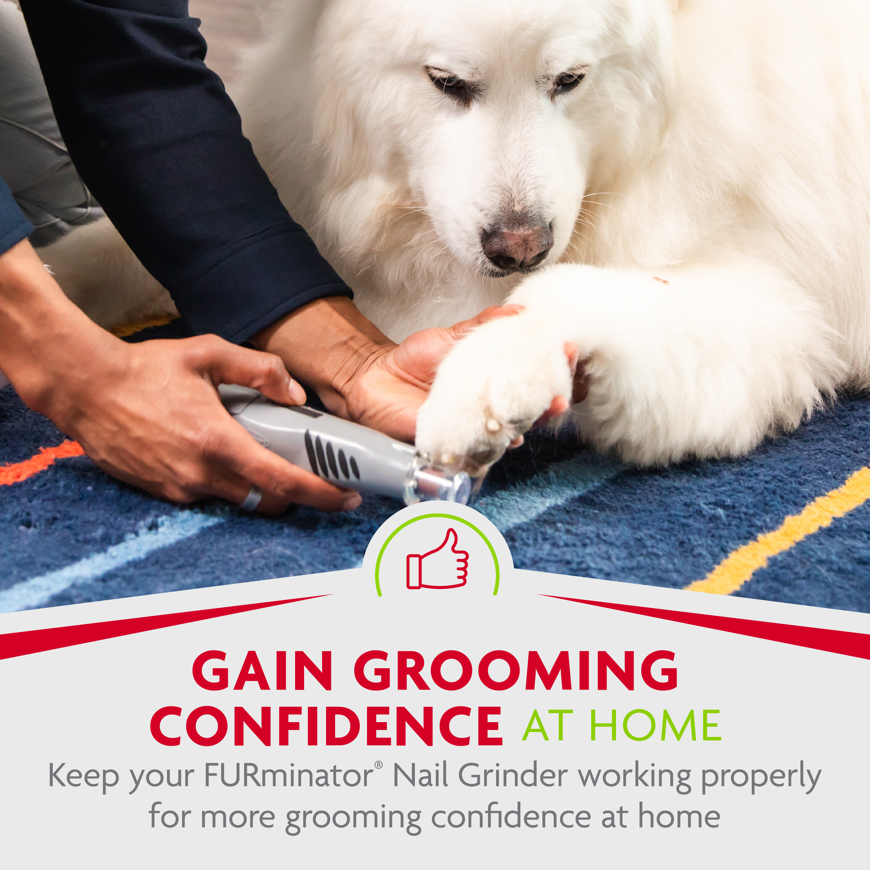 P104041_Gallery_08_GainGrooming