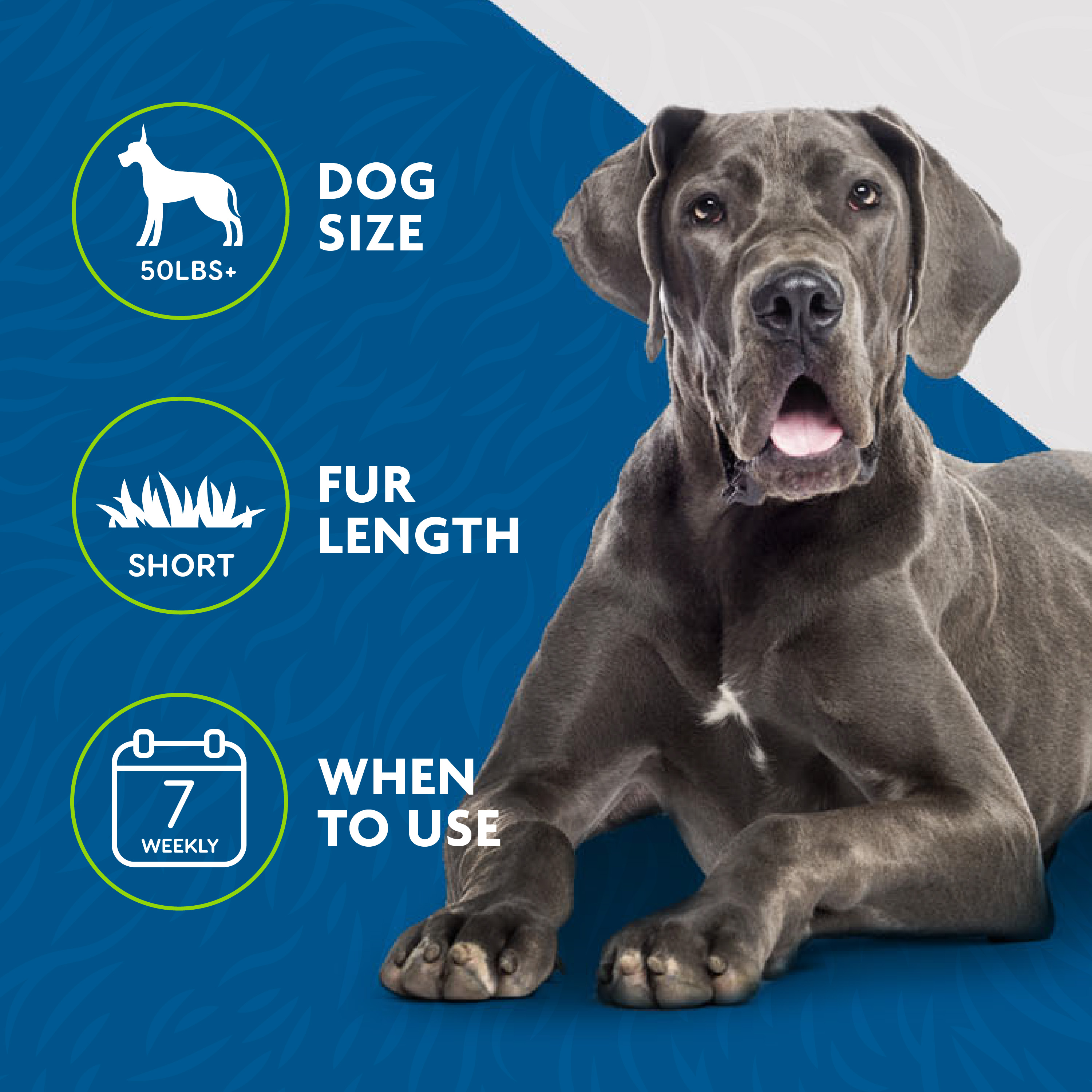 P92913_GalleryImages_06_Icons