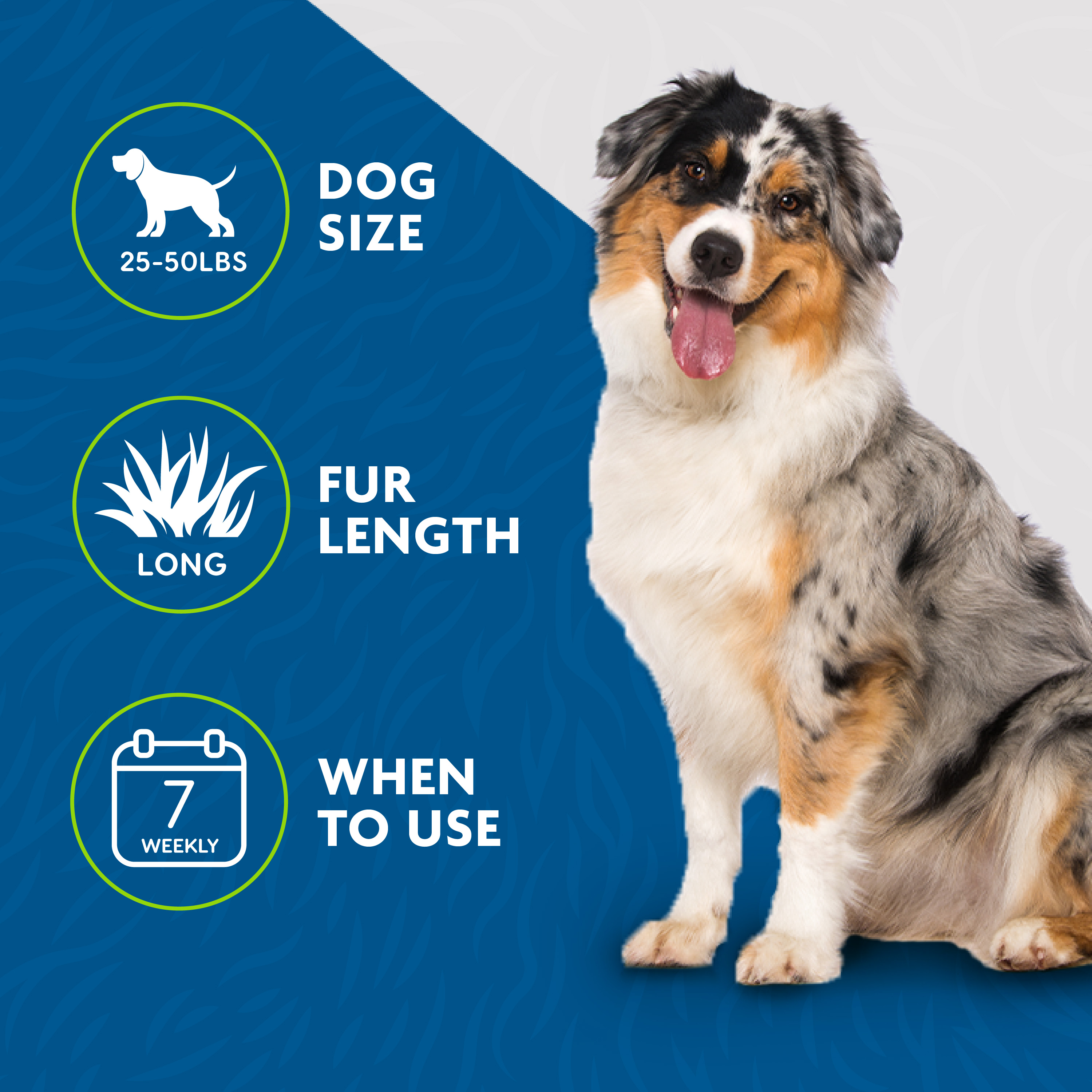 P92914_GalleryImages_06_Icons