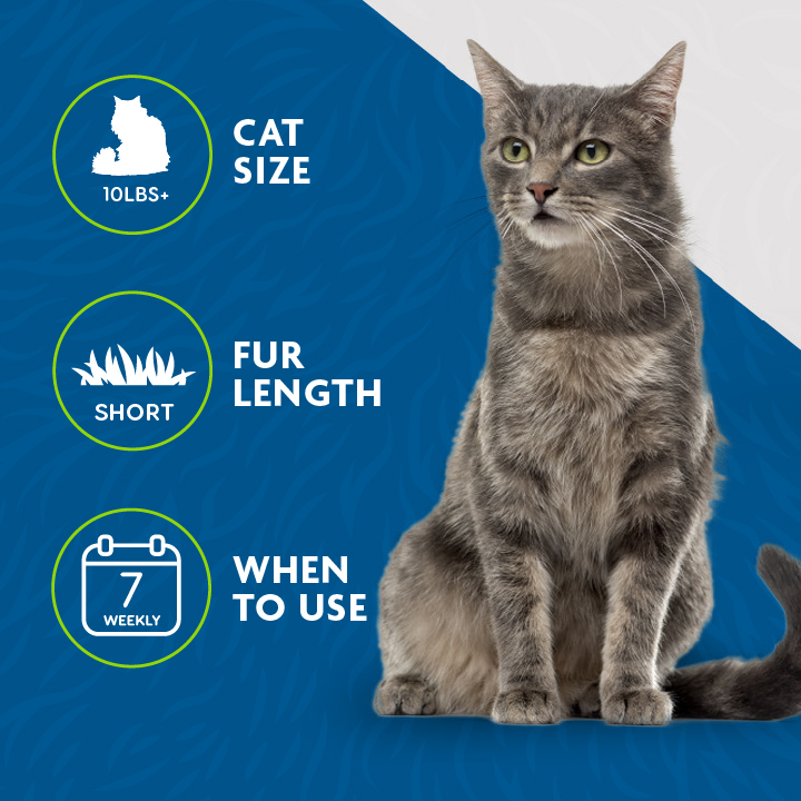 P929163_Gallery_06_Icons_LoRes