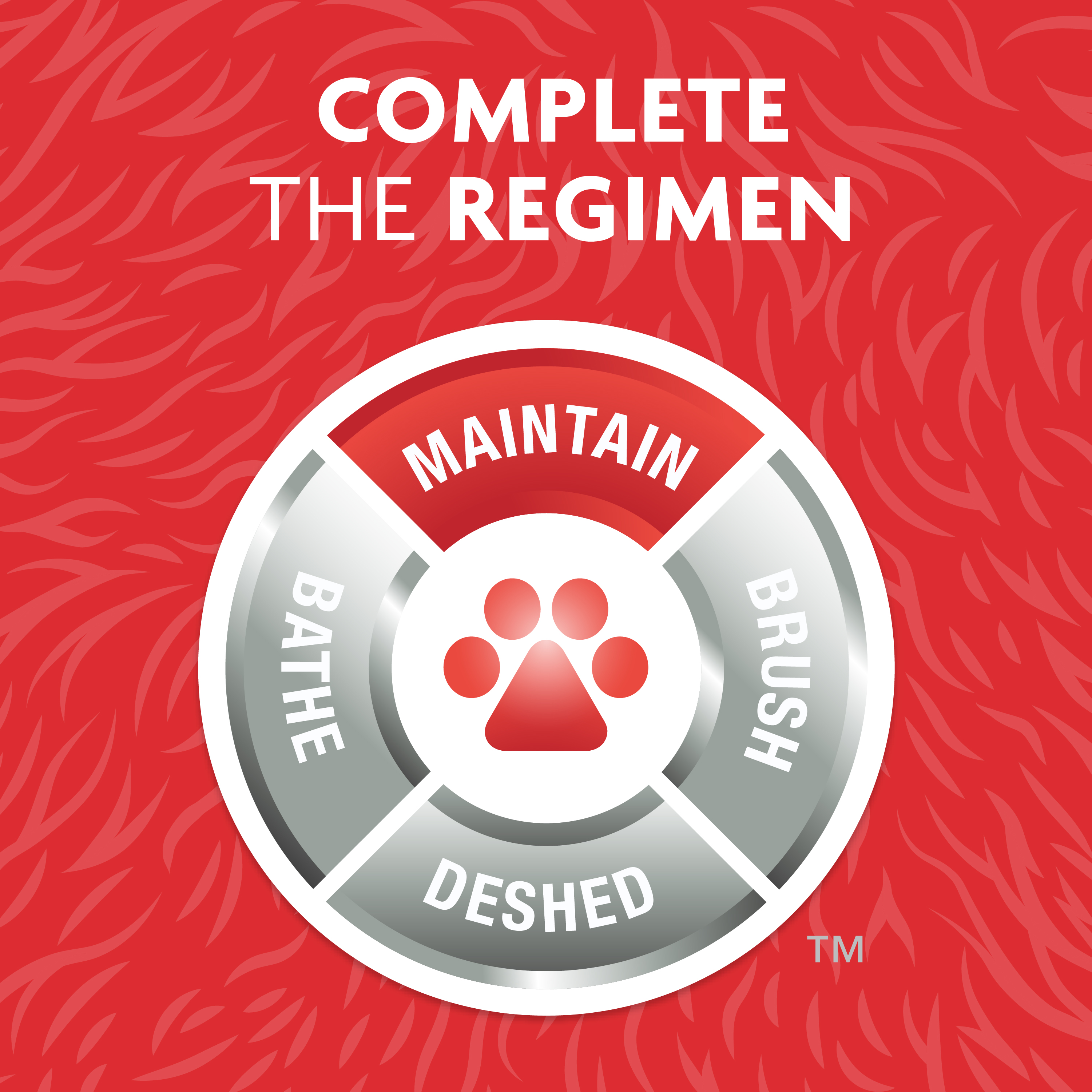 P92922_Gallery_03_Directions