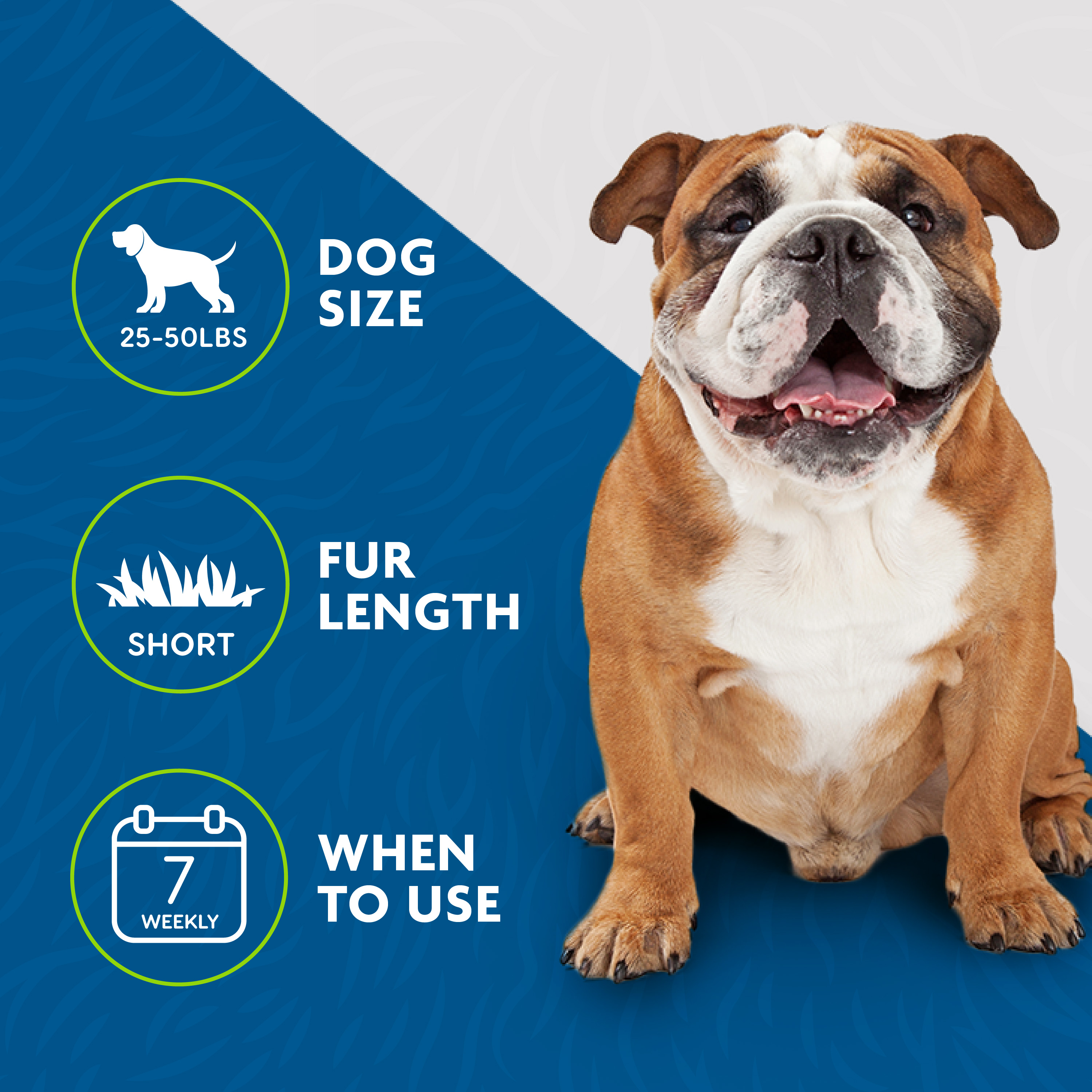 P92925_GalleryImages_06_Icons