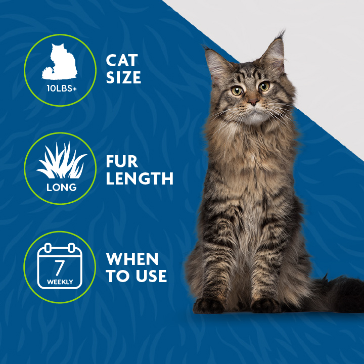 P929283_Gallery_06_Icons_LoRes