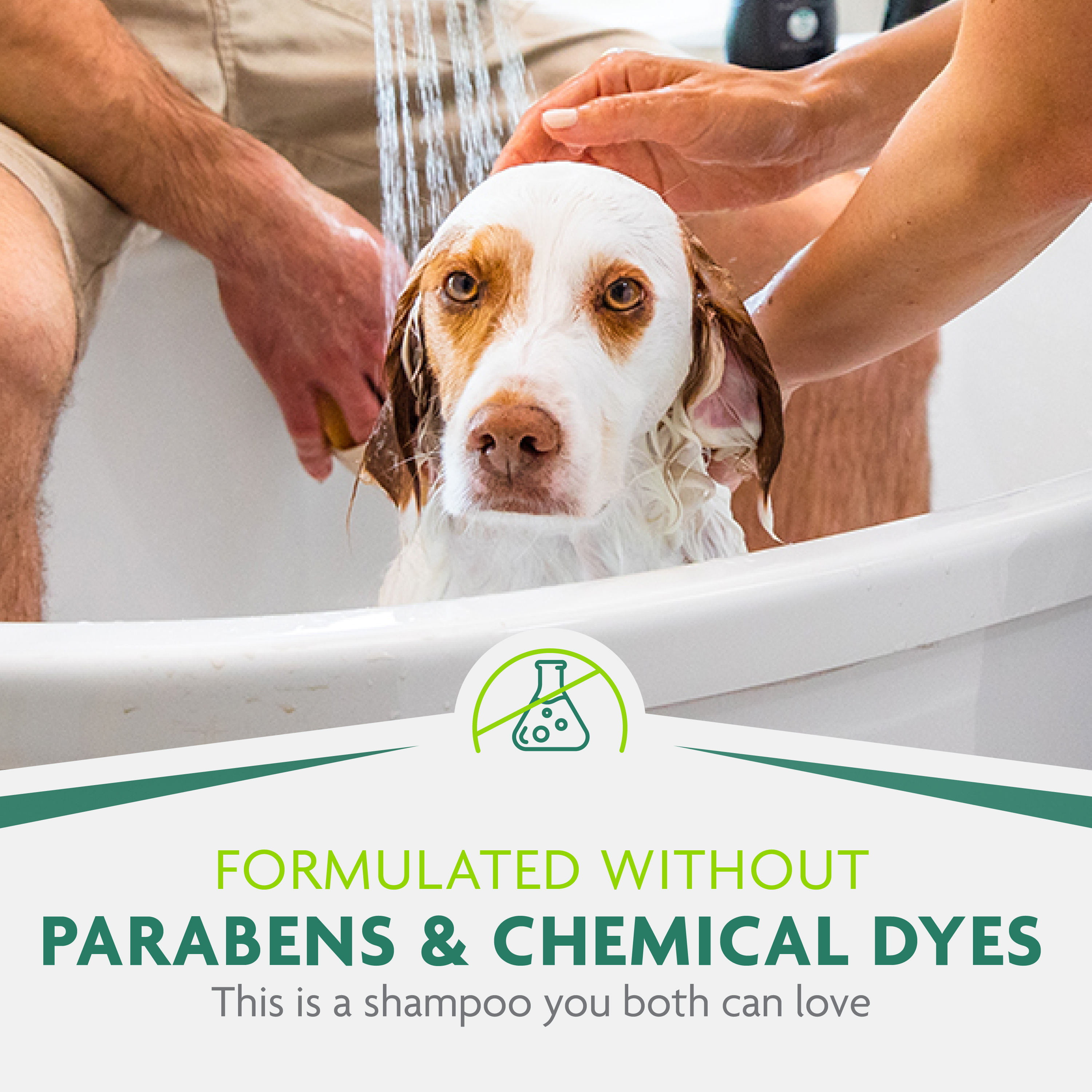 P93319_GalleryImages_08_FormulatedWithout