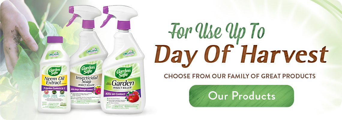 For Use Up to Day of Harvest Banner