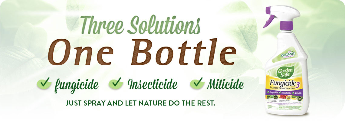 Three Solutions One Bottle
