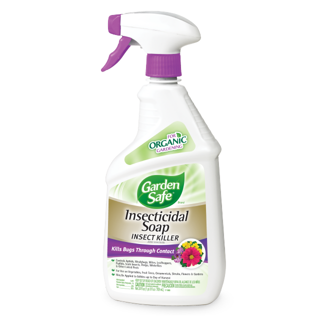 GardenSafe Insecticidal Soap Insect Killer Front