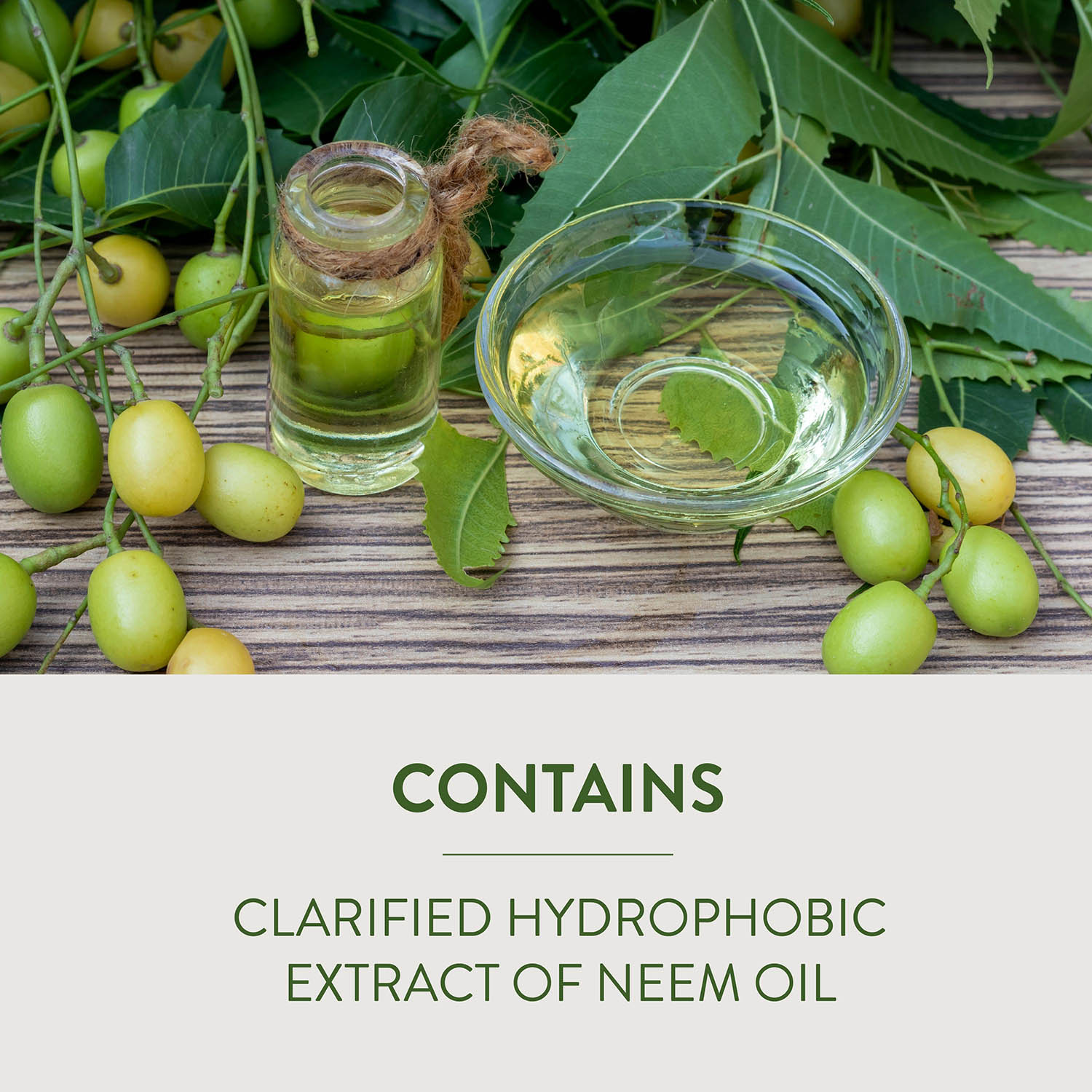 CONTAINS CLARIFIED HYDROPHOBIC EXTRACT OF NEEM OIL