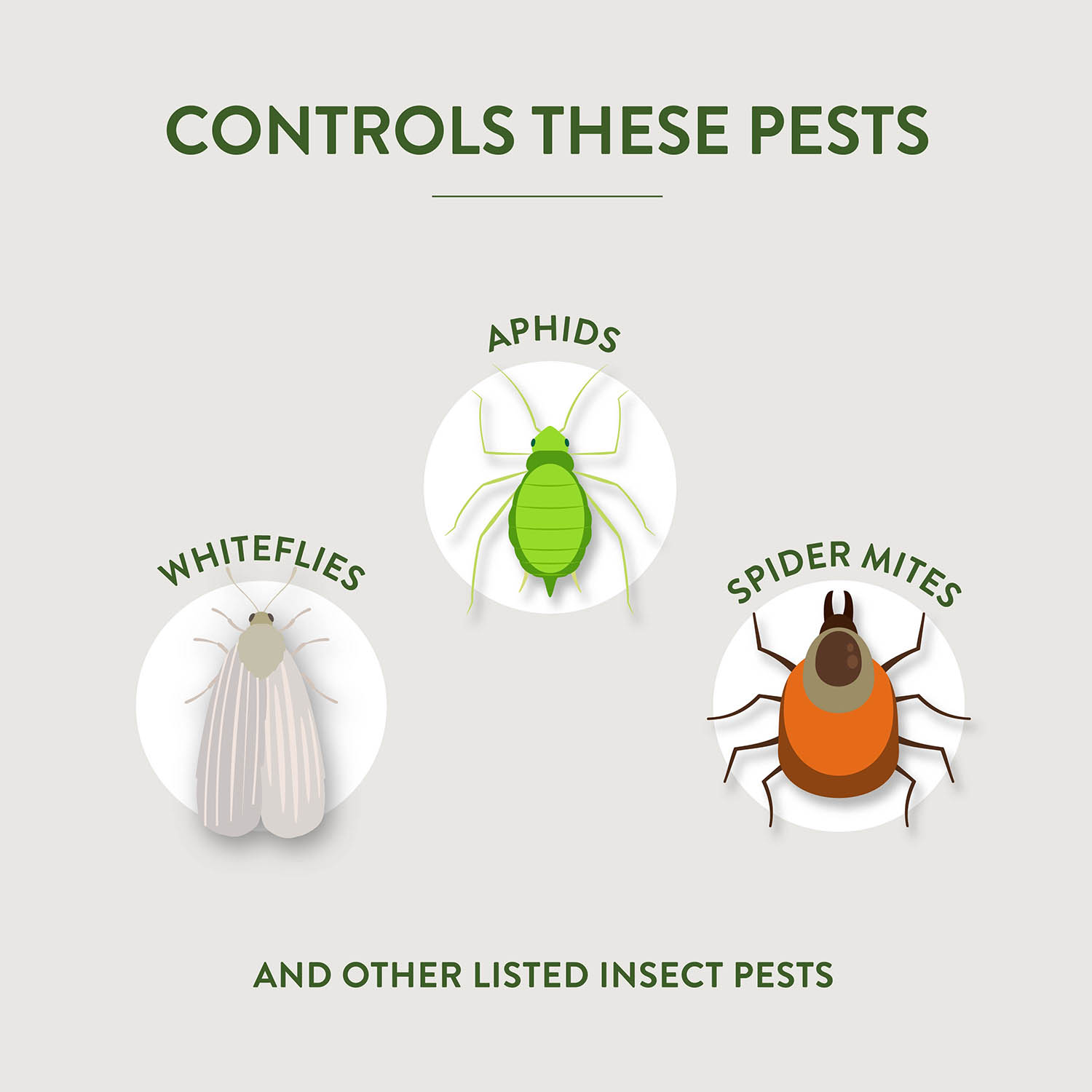 CONTROLS THESE PESTS APHIDS WHITEFLIES SPIDER MITE AND OTHER LISTED INSECT PESTS
