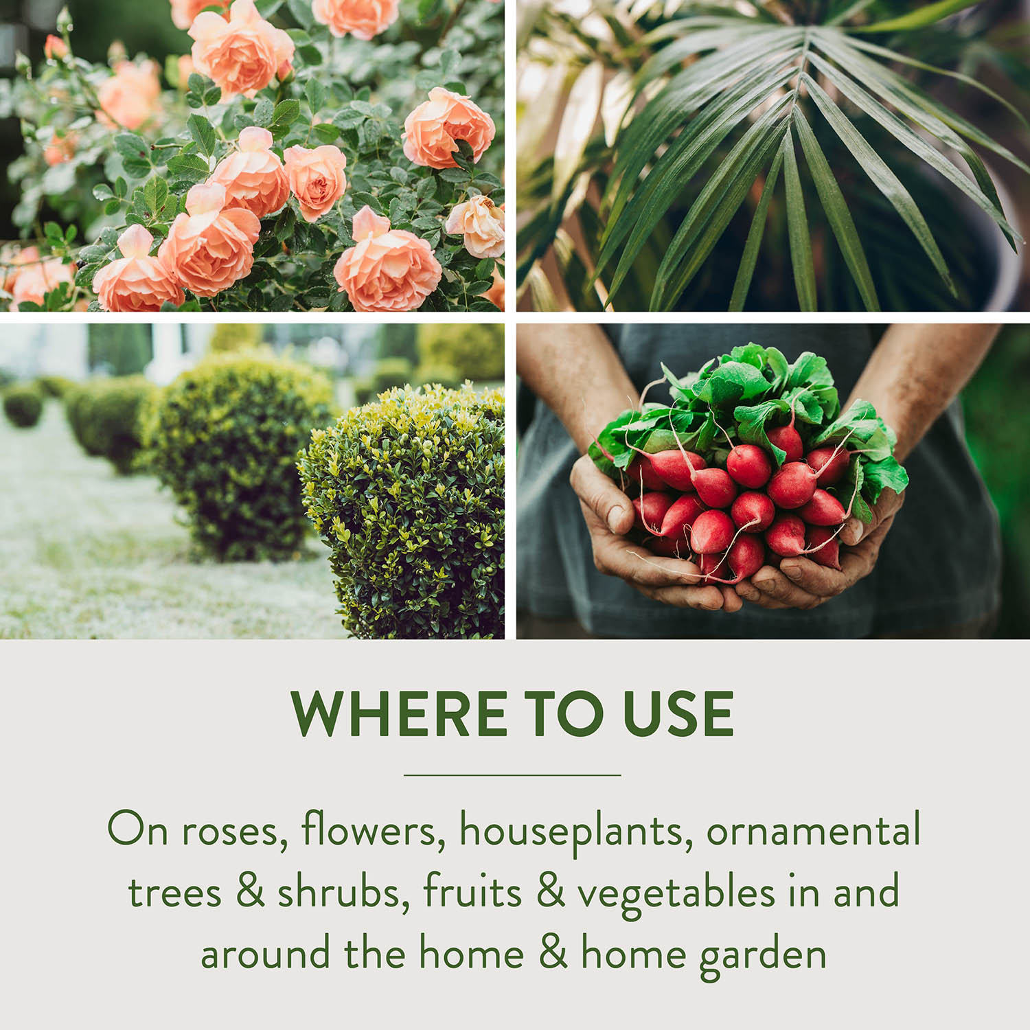 WHERE TO USE On roses, flowers, houseplants, ornamental trees & shrubs, fruits & vegetables in and around the home & home garden