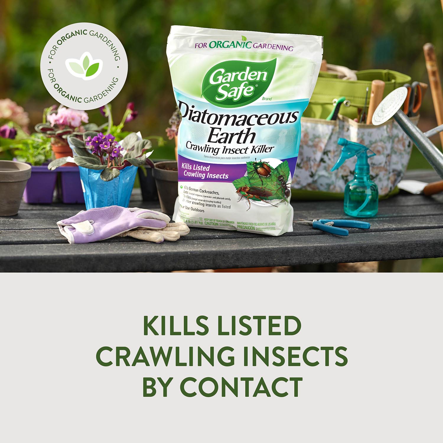 KILLS LISTED CRAWLING INSECTS BY CONTACT