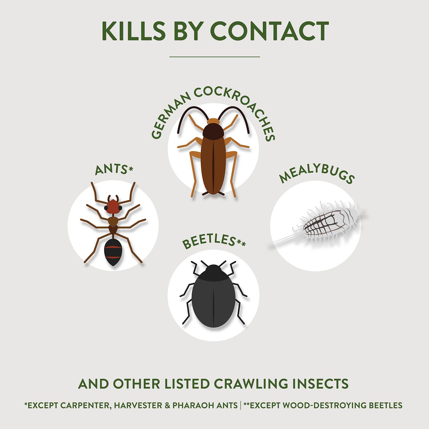 KILLS BY CONTACT ANTS* MEALYBUGS BEETLES** AND OTHER LISTED CRAWLING INSECTS *EXCEPT CARPENTER, HARVESTER & PHARAOH ANTS **EXCEPT WOOD- DESTROYING BEETLES