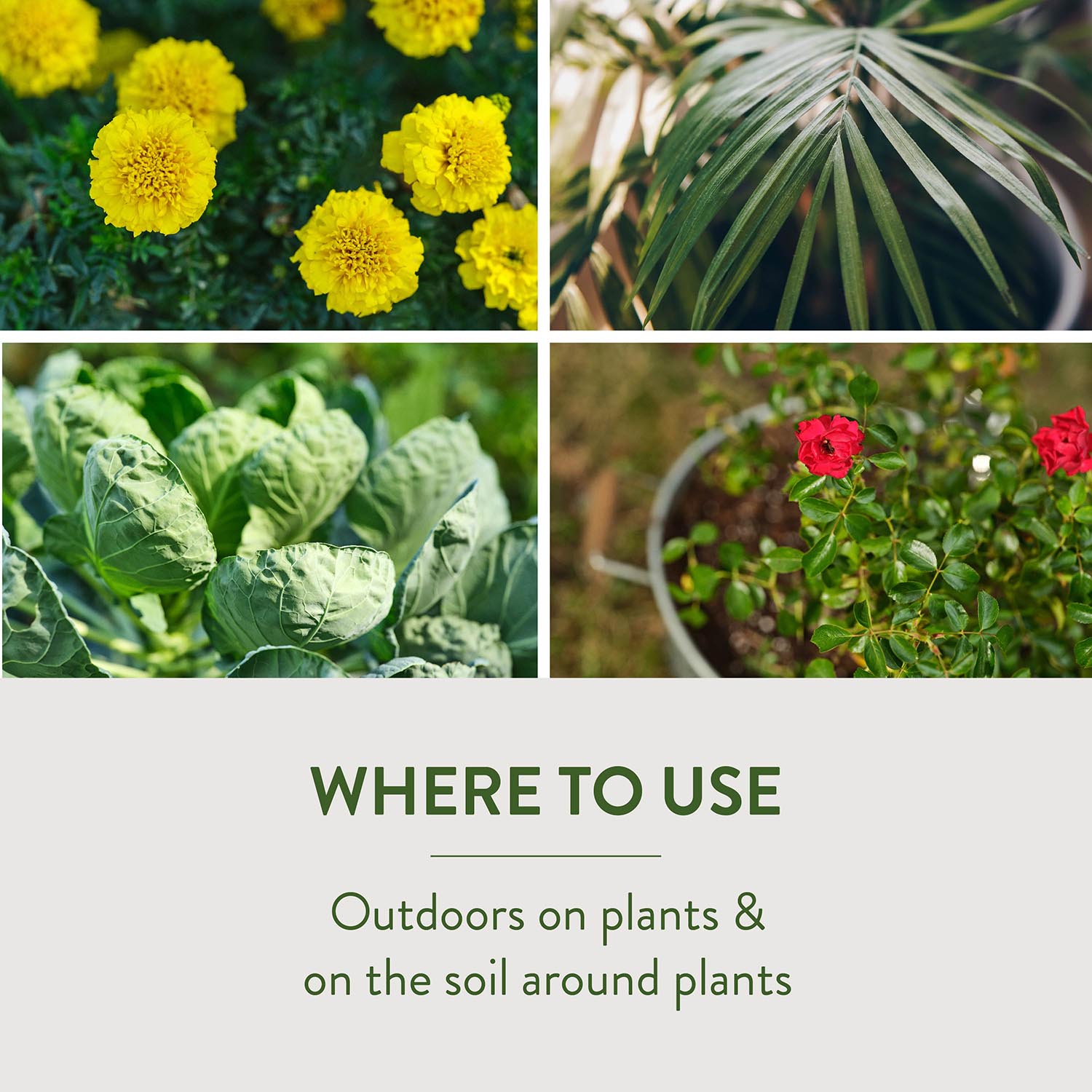 WHERE TO USE Outdoors on plants & on the soil around plants