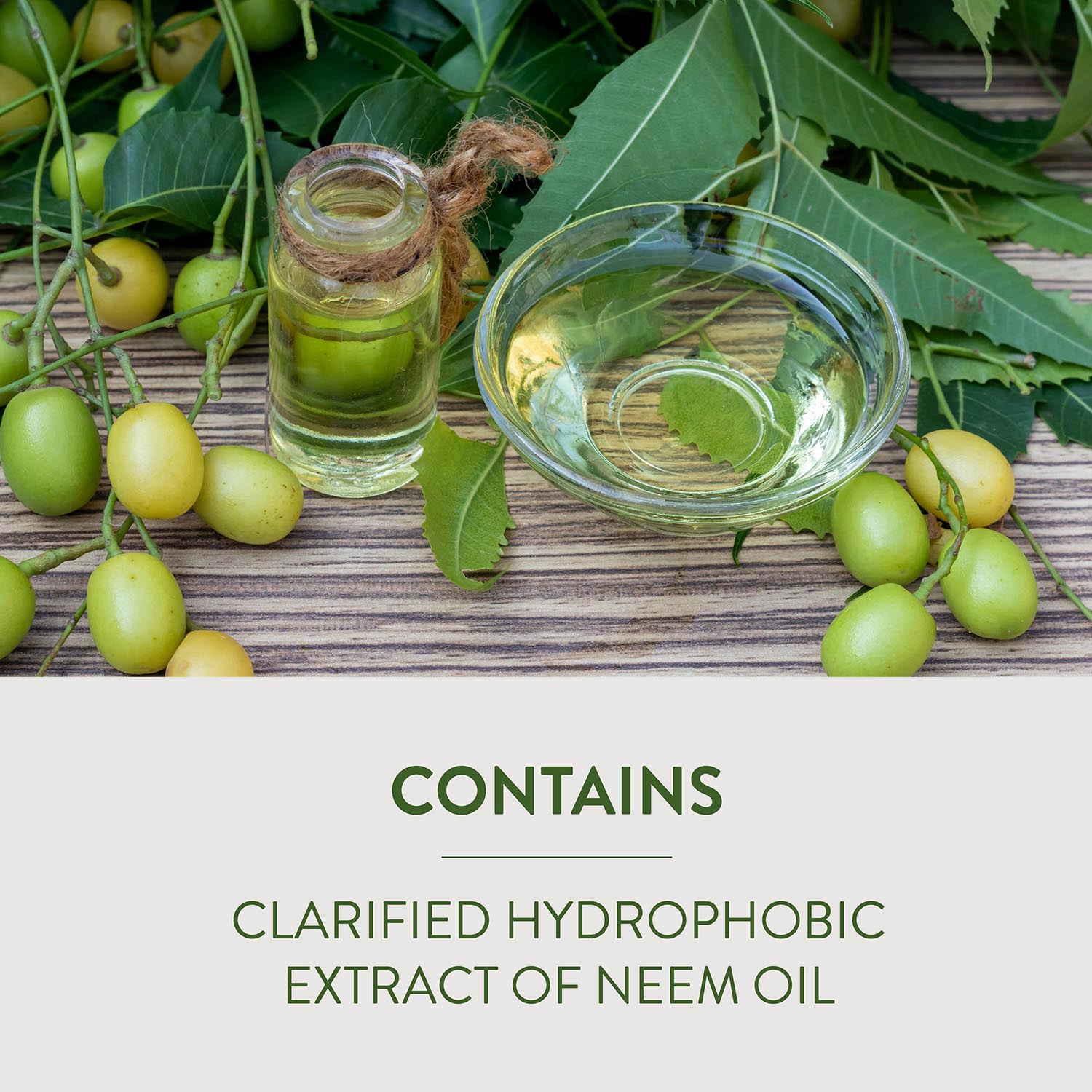 CONTAINS CLARIFIED HYDROPHOBIC EXTRACT OF NEEM OIL