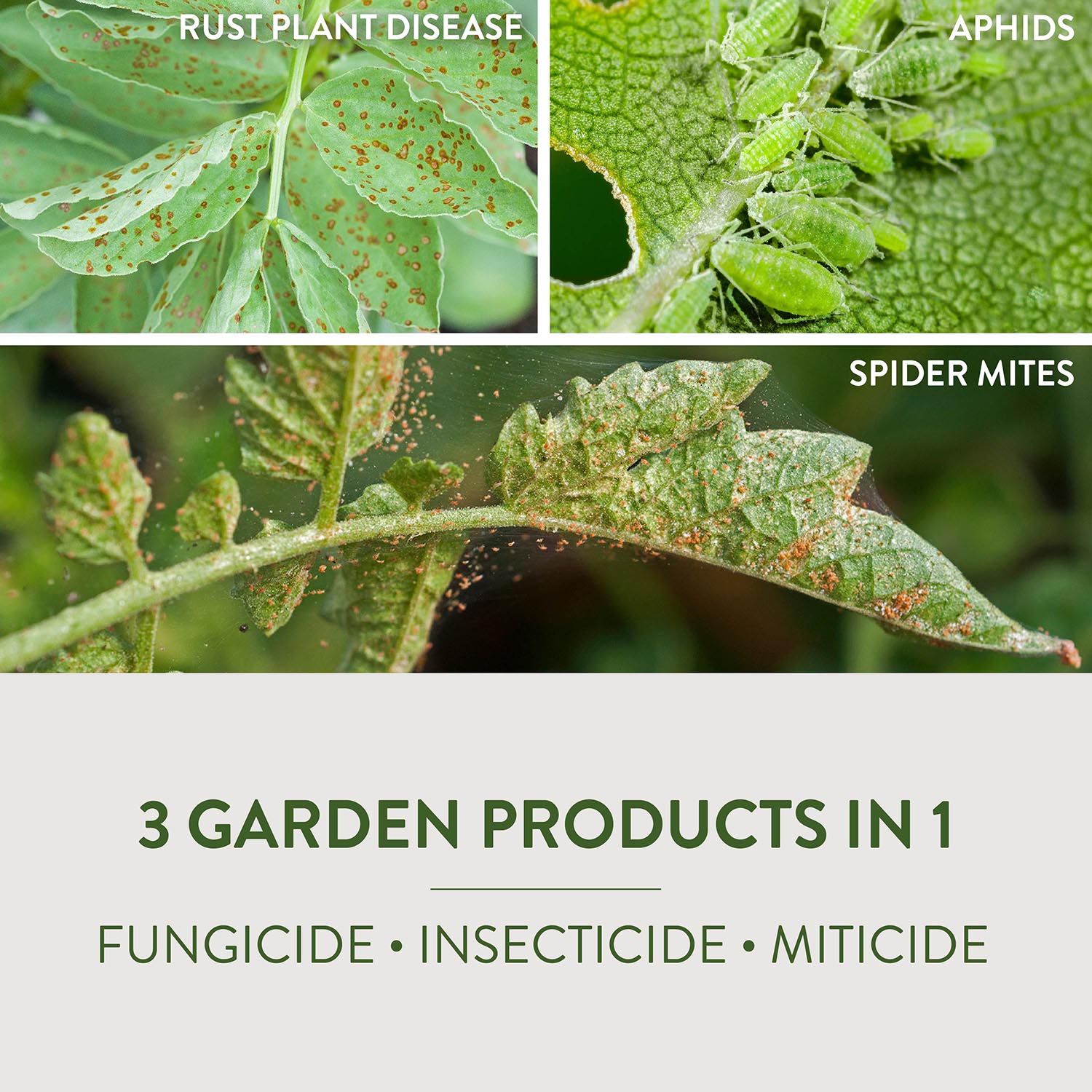 3 GARDEN PRODUCTS IN 1 FUNGICIDE • INSECTICIDE • MITICIDE
