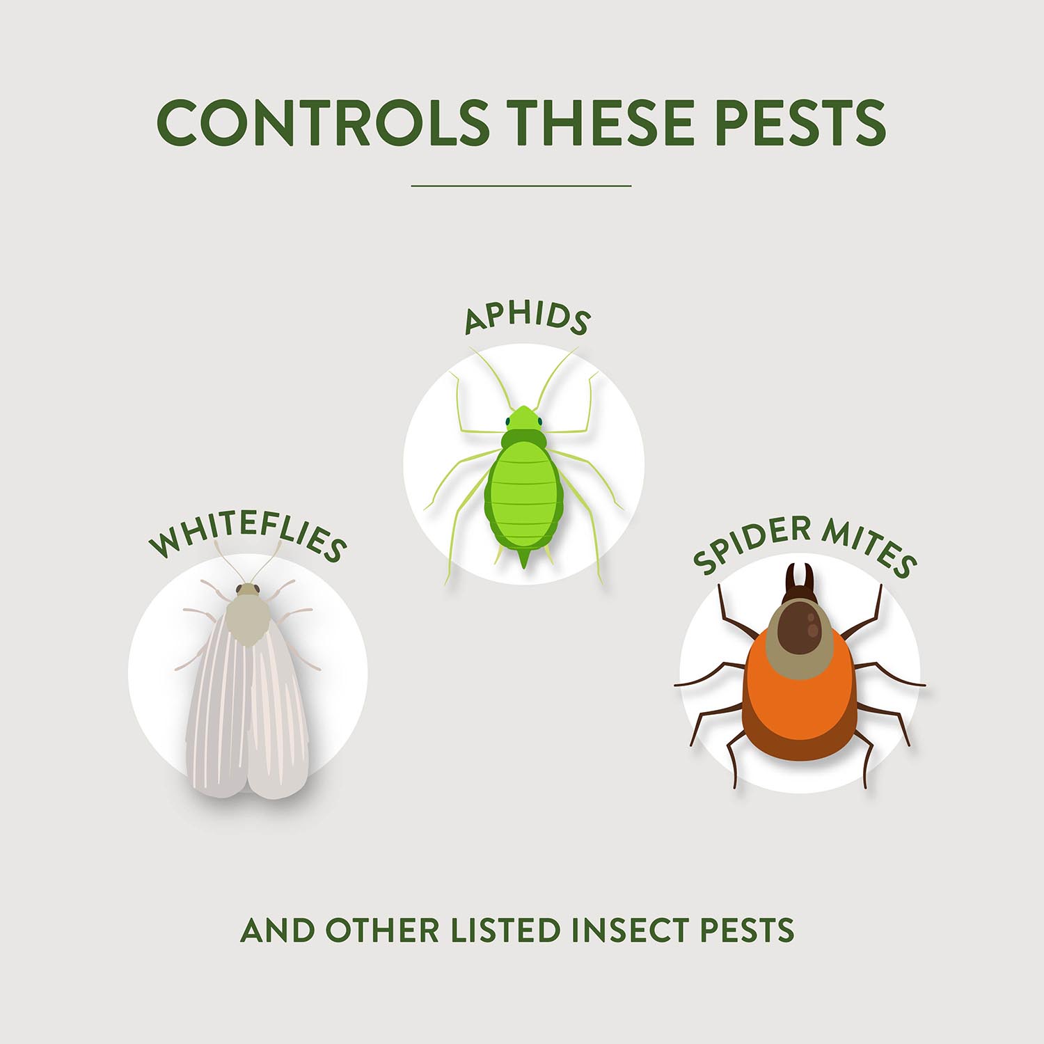 CONTROLS THESE PESTS APHIDs WHITEFLIES SPIDER MITES AND OTHER LISTED INSECT PESTS