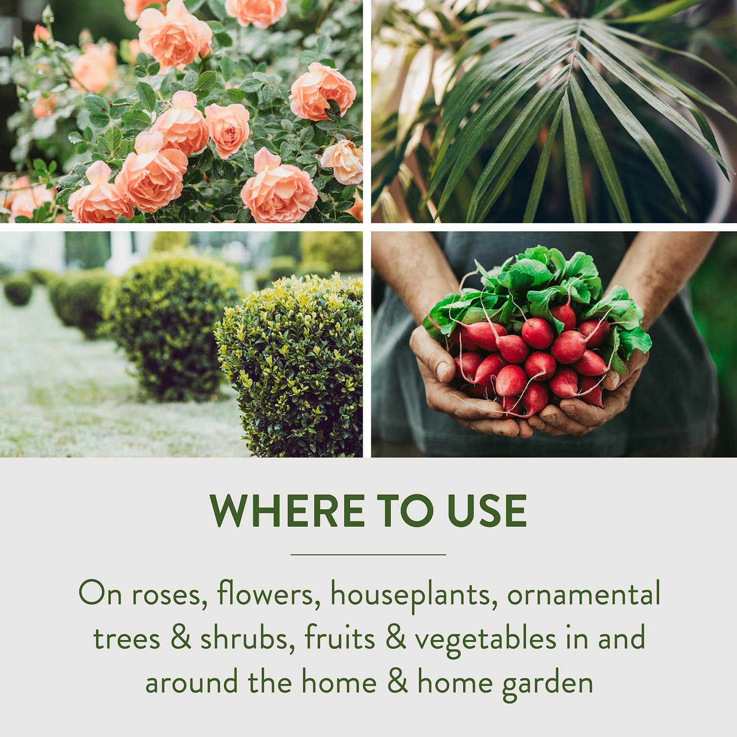 WHERE TO USE On roses, flowers, houseplants, ornamental trees & shrubs, fruits & vegetables in and around the home & home garden