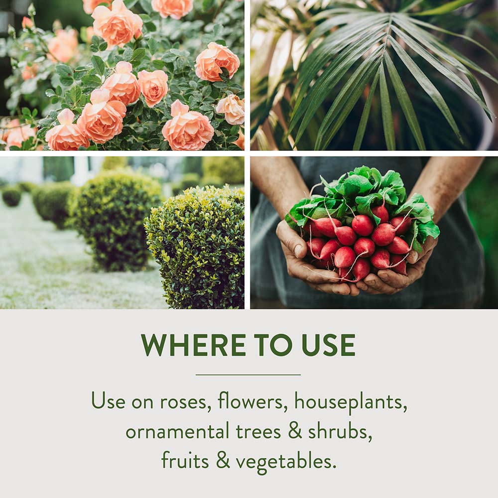 HG-83197 Fungicide3® Concentrate, 28 fl oz - Where to Use