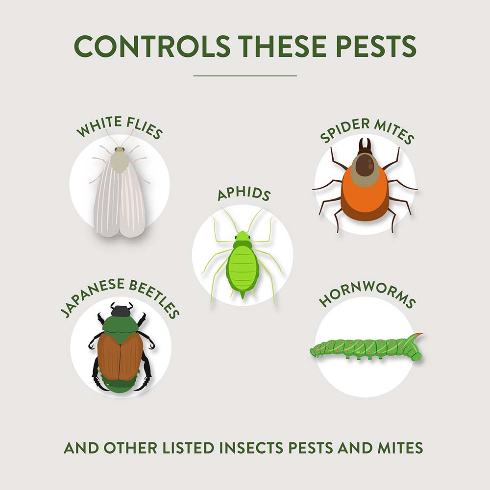 HG-83197 Fungicide3® Concentrate, 28 fl oz - Controls These Pests