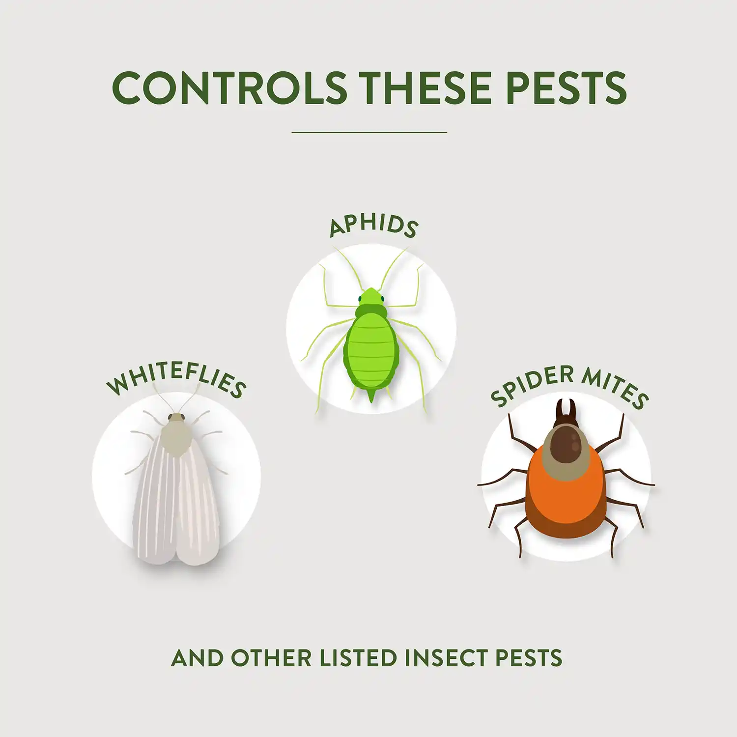 CONTROLS THESE PESTS APHIDS WHITEFLIES SPIDER MITES AND OTHER LISTED INSECT PESTS