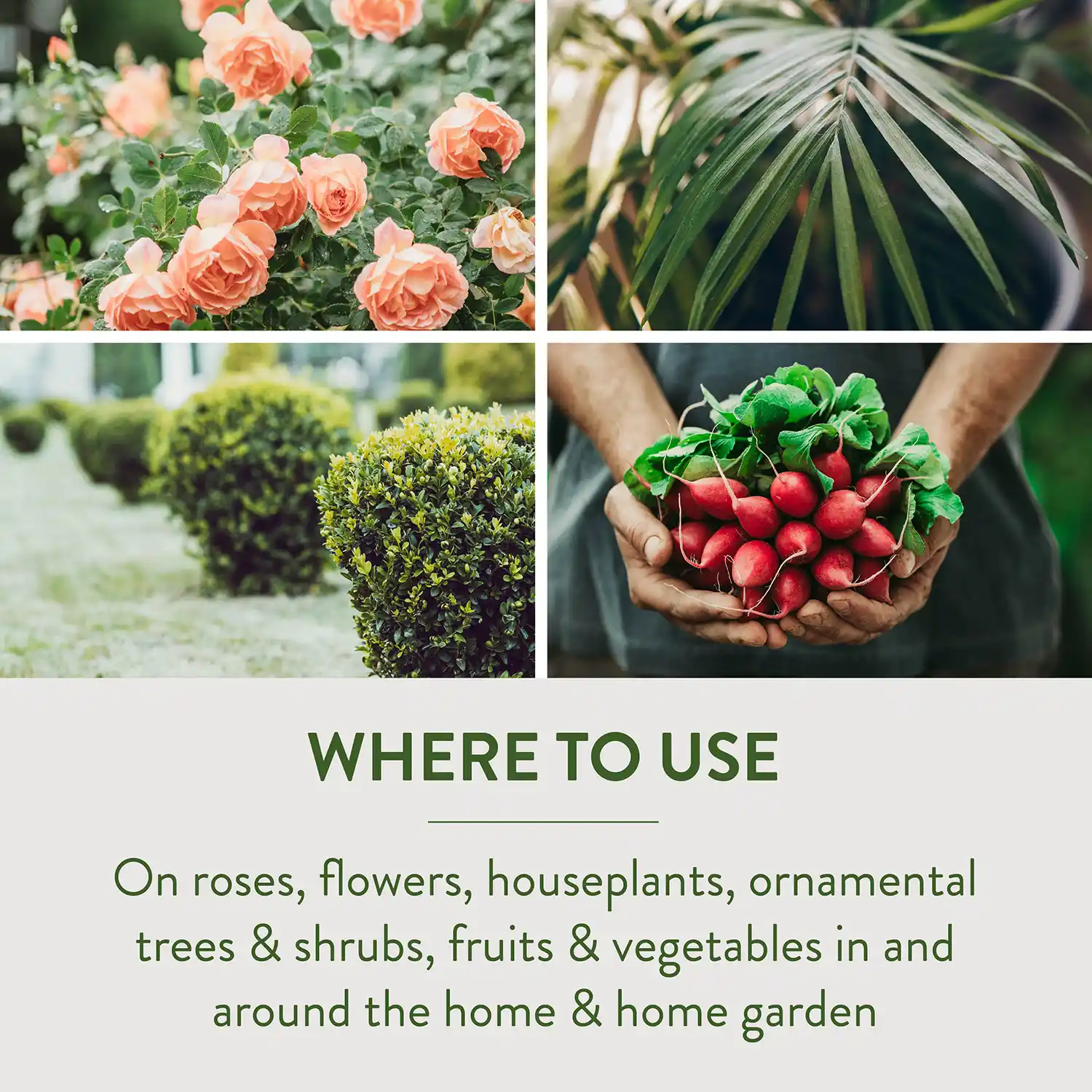 WHERE TO USE On roses, flowers, houseplants, ornamental trees & shrubs, fruits & vegetables around the home & home garden.