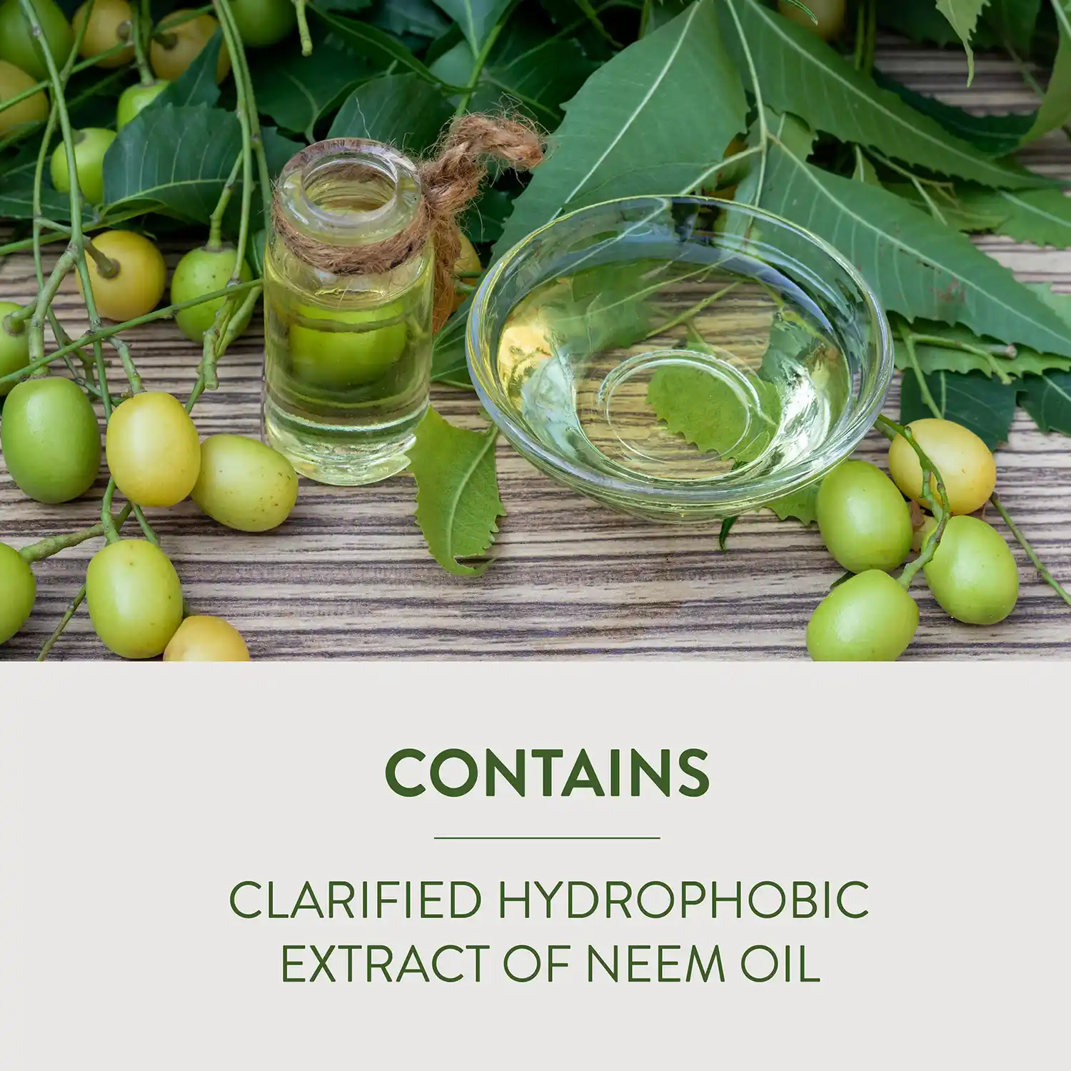 CONTAINS CLARIFIED HYDROPHOBIC EXTRACT OF NEEM OIL