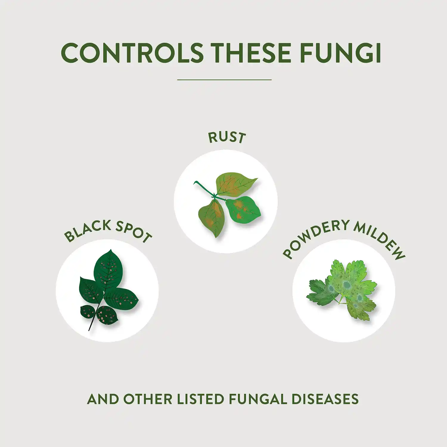 CONTROLS THESE FUNGI RUST BLACK SPOT, POWDERY MILDEW AND OTHER LISTED FUNGAL DISEASES