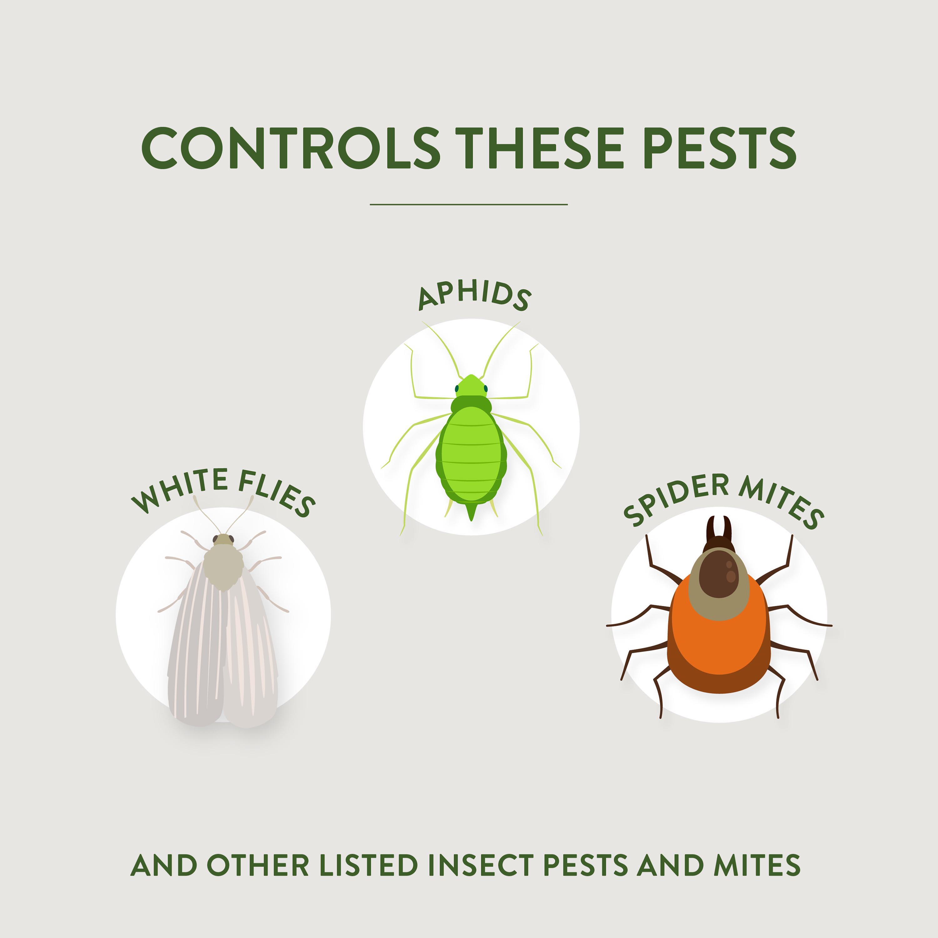 Garden Safe® Brand Neem Oil Extract Concentrate, 1 Gal - Controls