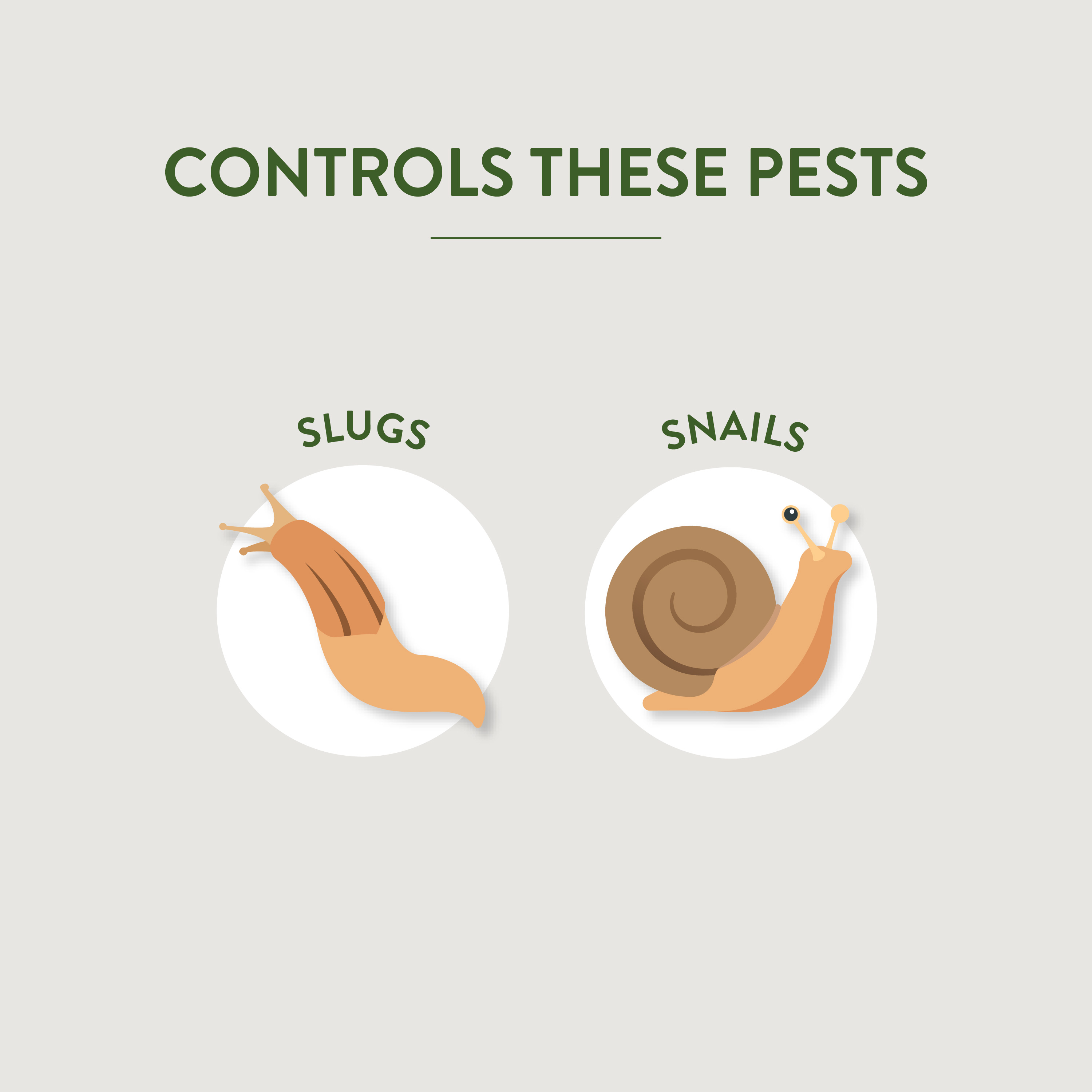 GardenSafe Slug and Snail Bait Controls Pests