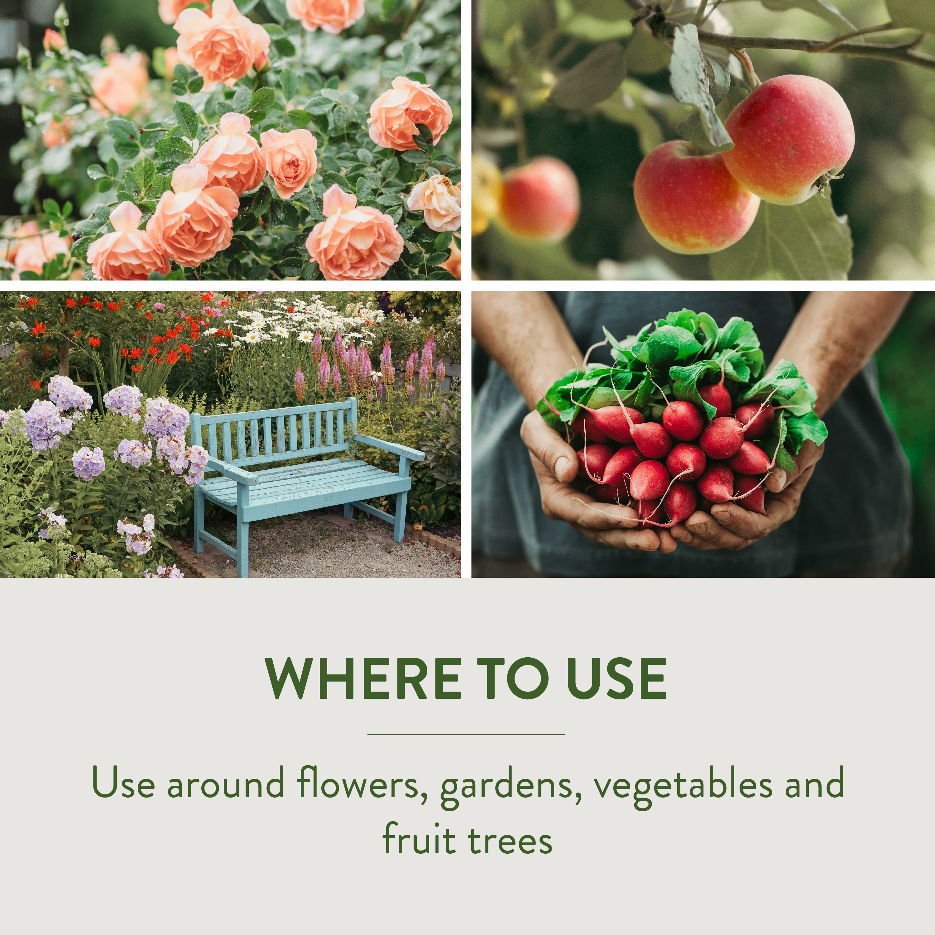 GardenSafe Slug and Snail Bait Where To Use