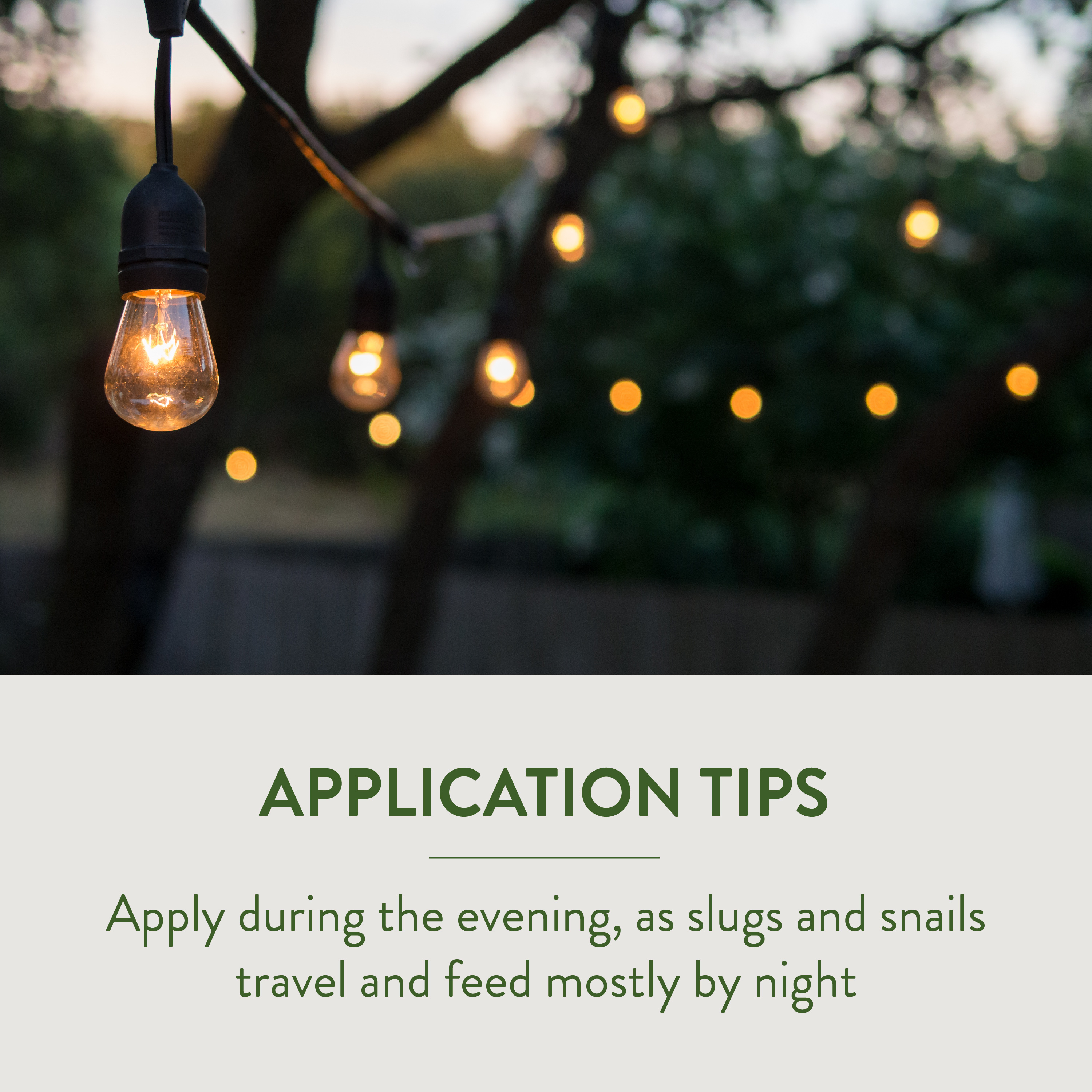 GardenSafe Slug and Snail Bait Application Tips