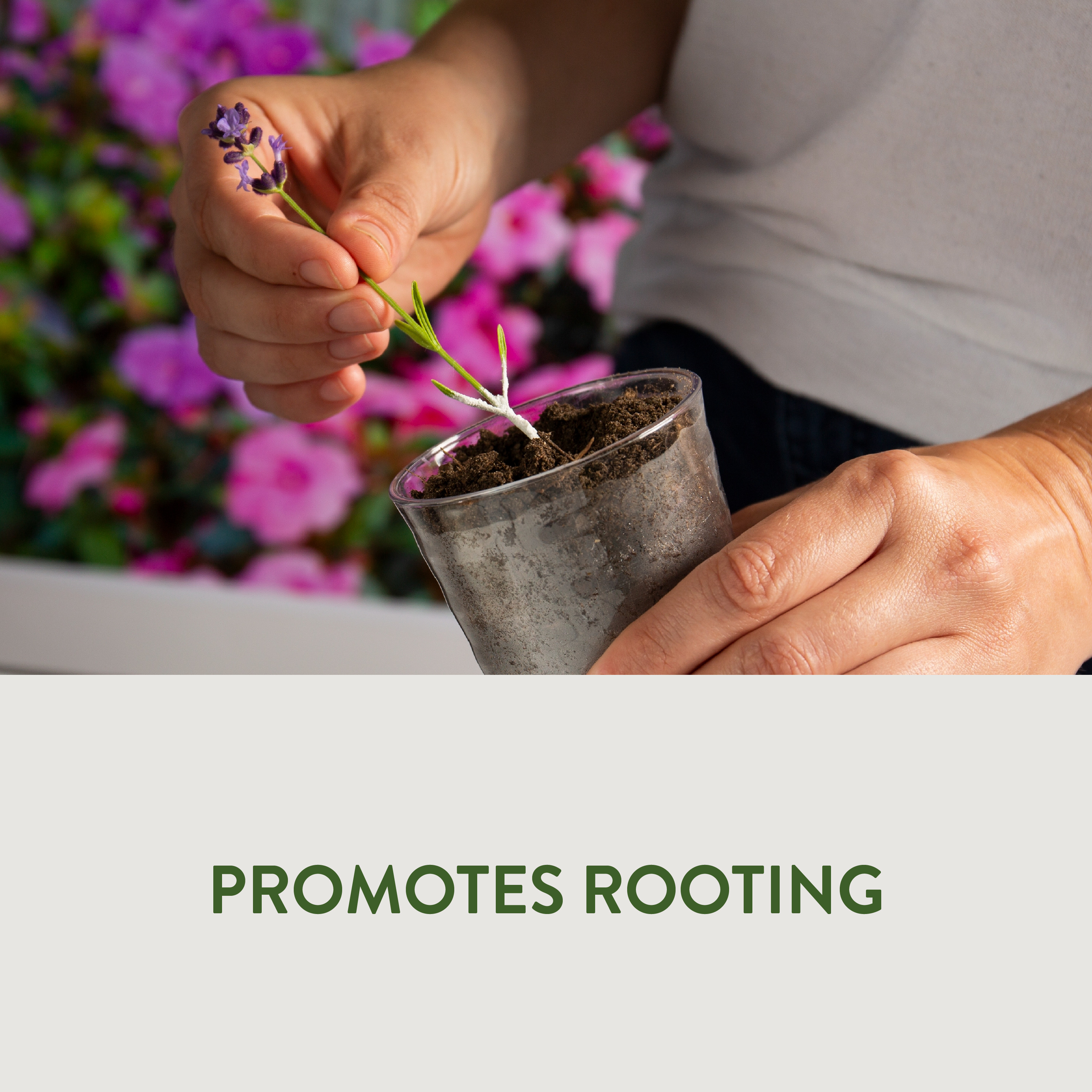 GardenSafe_MainImages_HG93194_8_PromotesRooting
