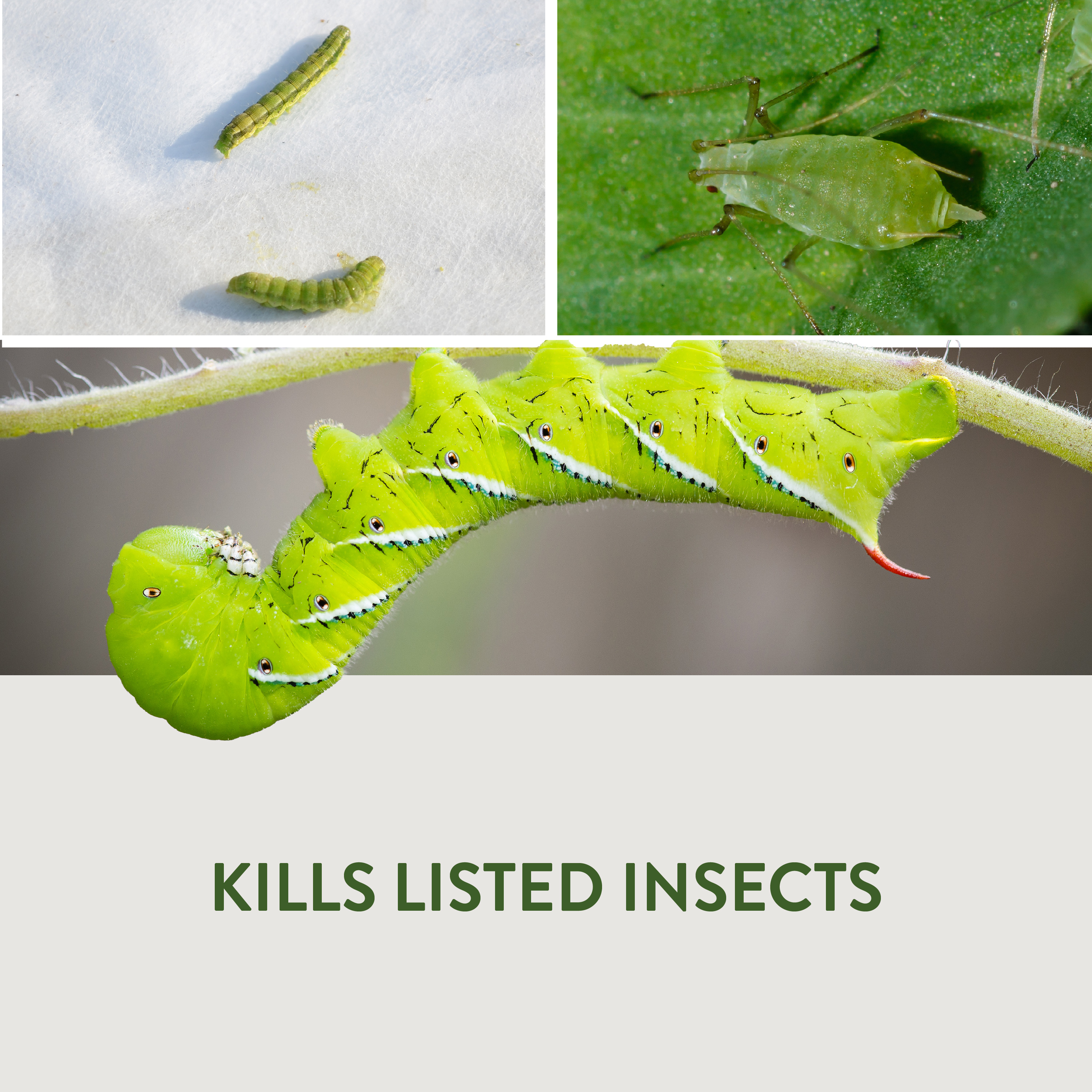 GardenSafe_MainImages_HG9321311