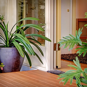 The Well Watered Houseplant