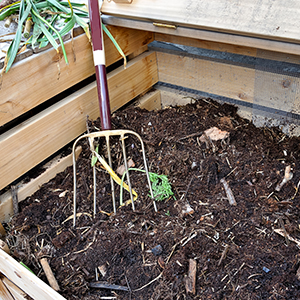 Compost 101: Hummus happens